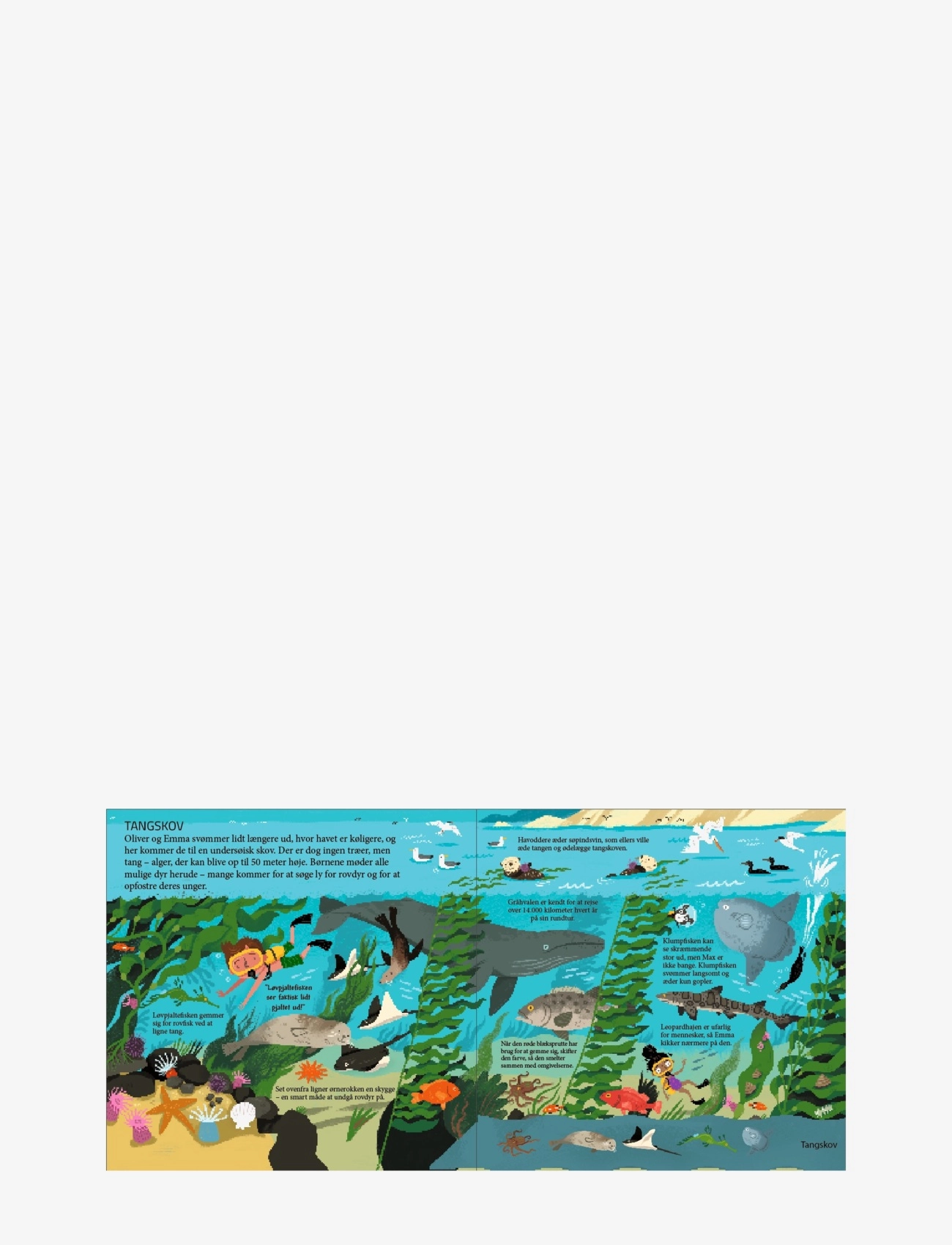 GLOBE - Kom med ned i havet - pædagogiske bøger - boardbook - 2