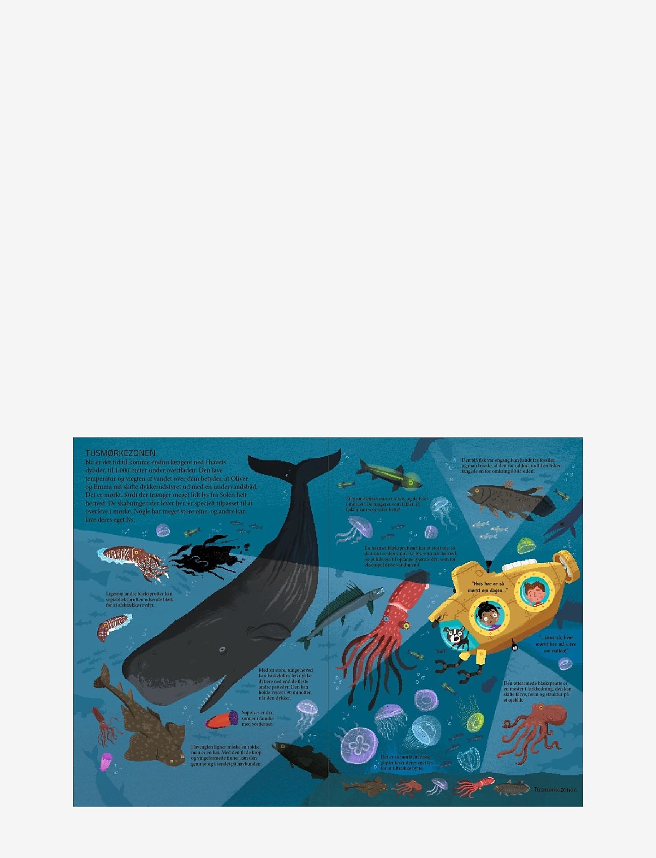 GLOBE - Kom med ned i havet - pædagogiske bøger - boardbook - 4