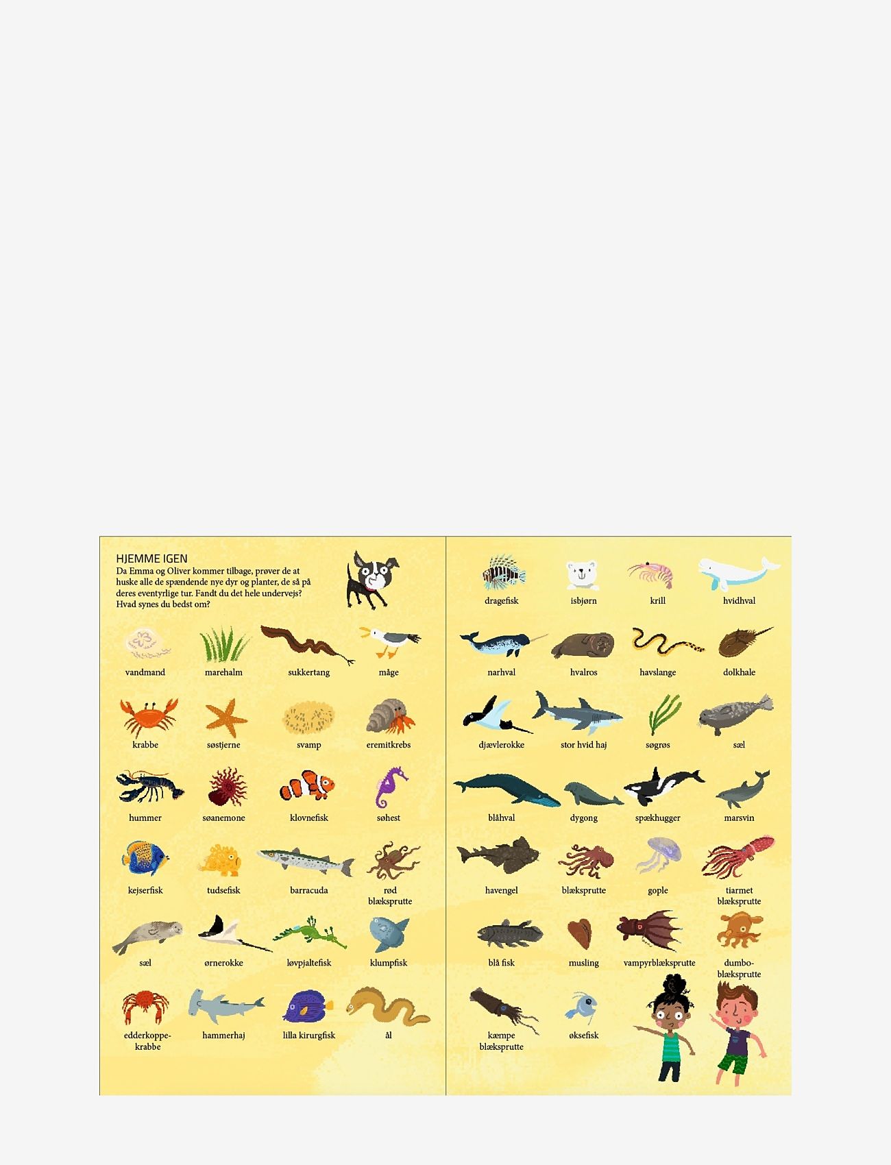 GLOBE - Kom med ned i havet - pædagogiske bøger - boardbook - 5