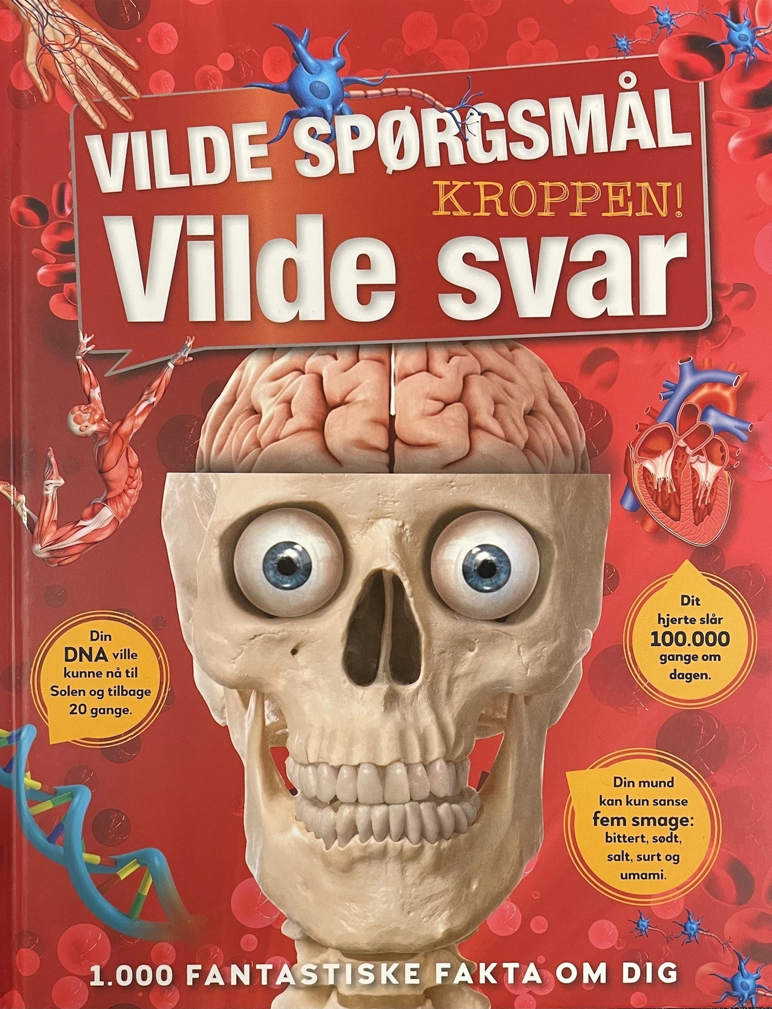 GLOBE Vilde Spørgsmål Vilde Svar Kroppen, Børn, Educational Books, Multi/mønstret, Str: DANISH