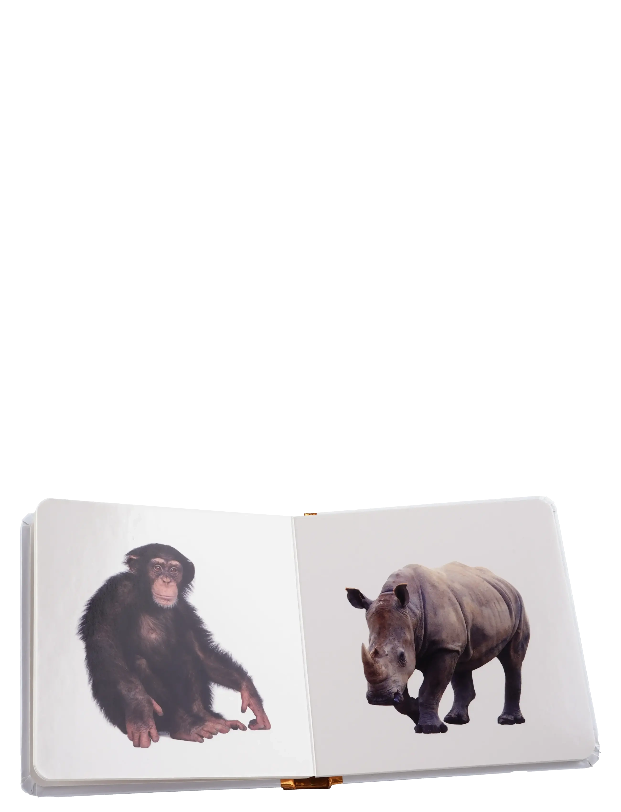 GLOBE - Min lille bog om Vilde Dyr - educational books - boardbook - 2