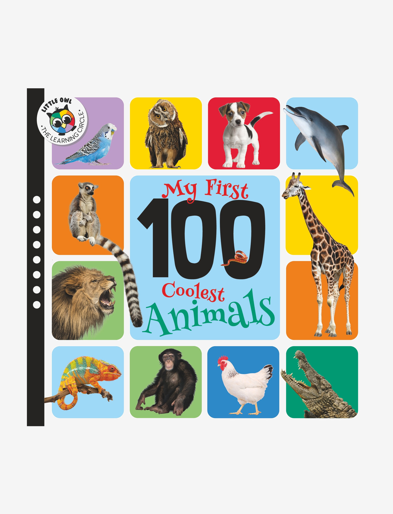 GLOBE - First 100 - Coolest Animals - boardbook - 0