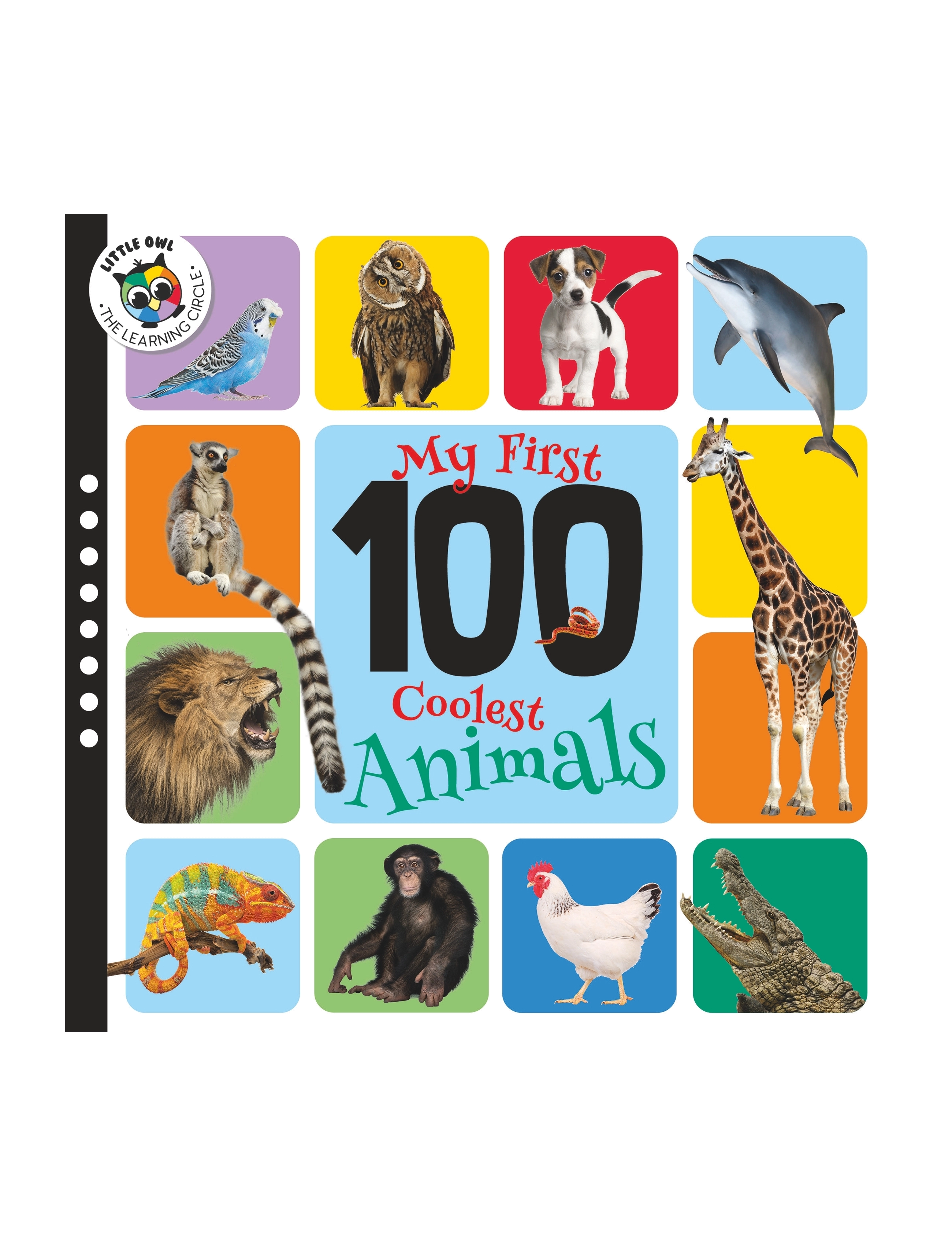 First 100 - Coolest Animals - BOARDBOOK