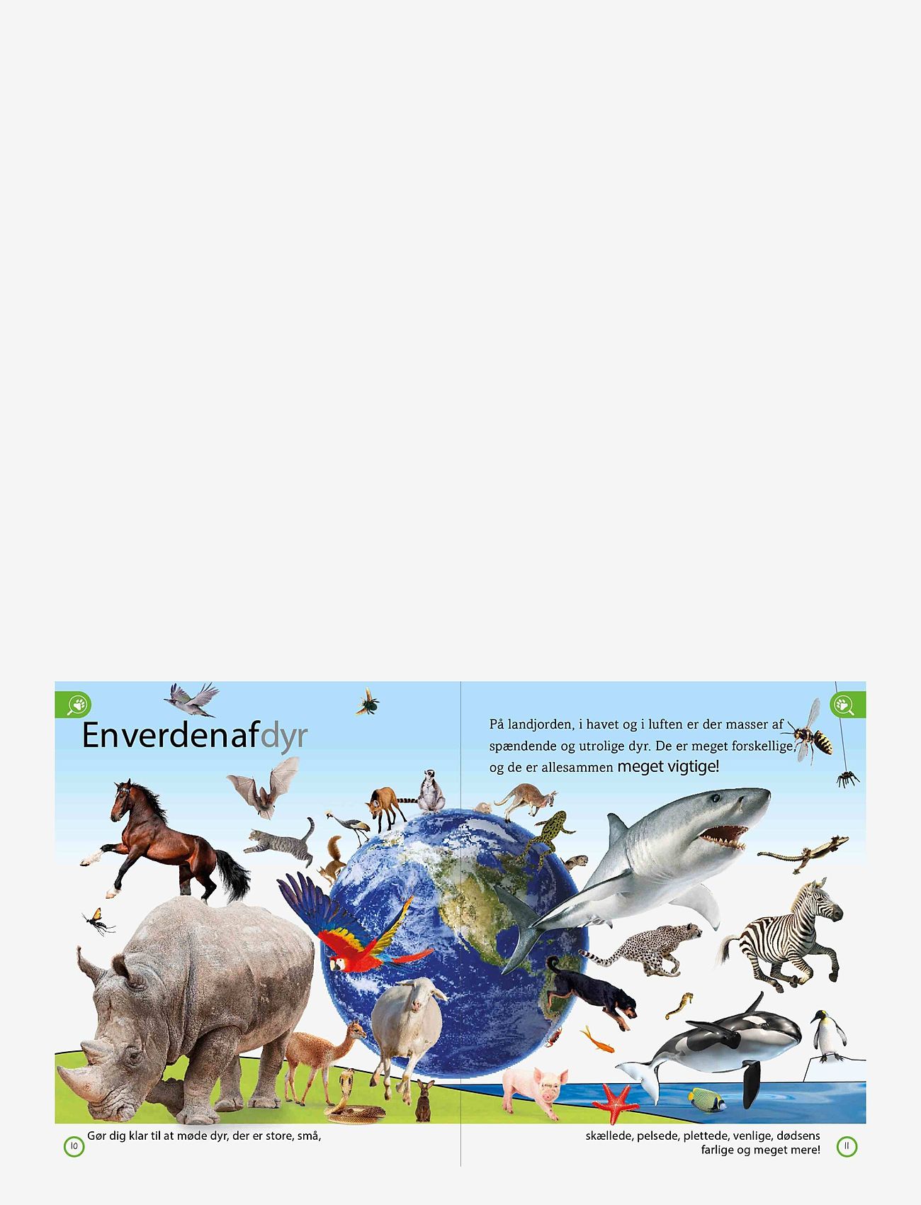 GLOBE - Dyreleksikon for de yngste - educational books - children's book - 1