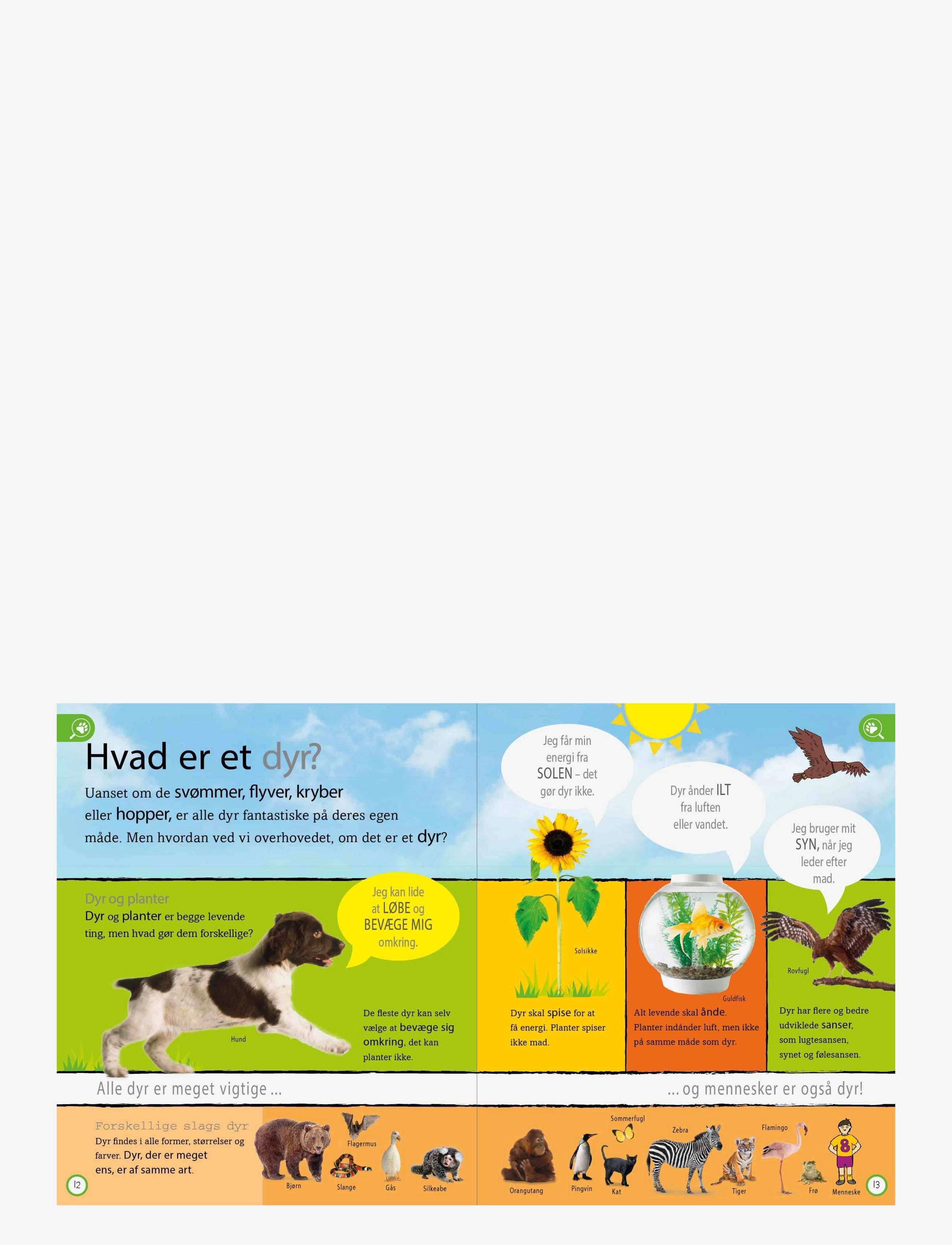 GLOBE - Dyreleksikon for de yngste - fræðslubækur - children's book - 2