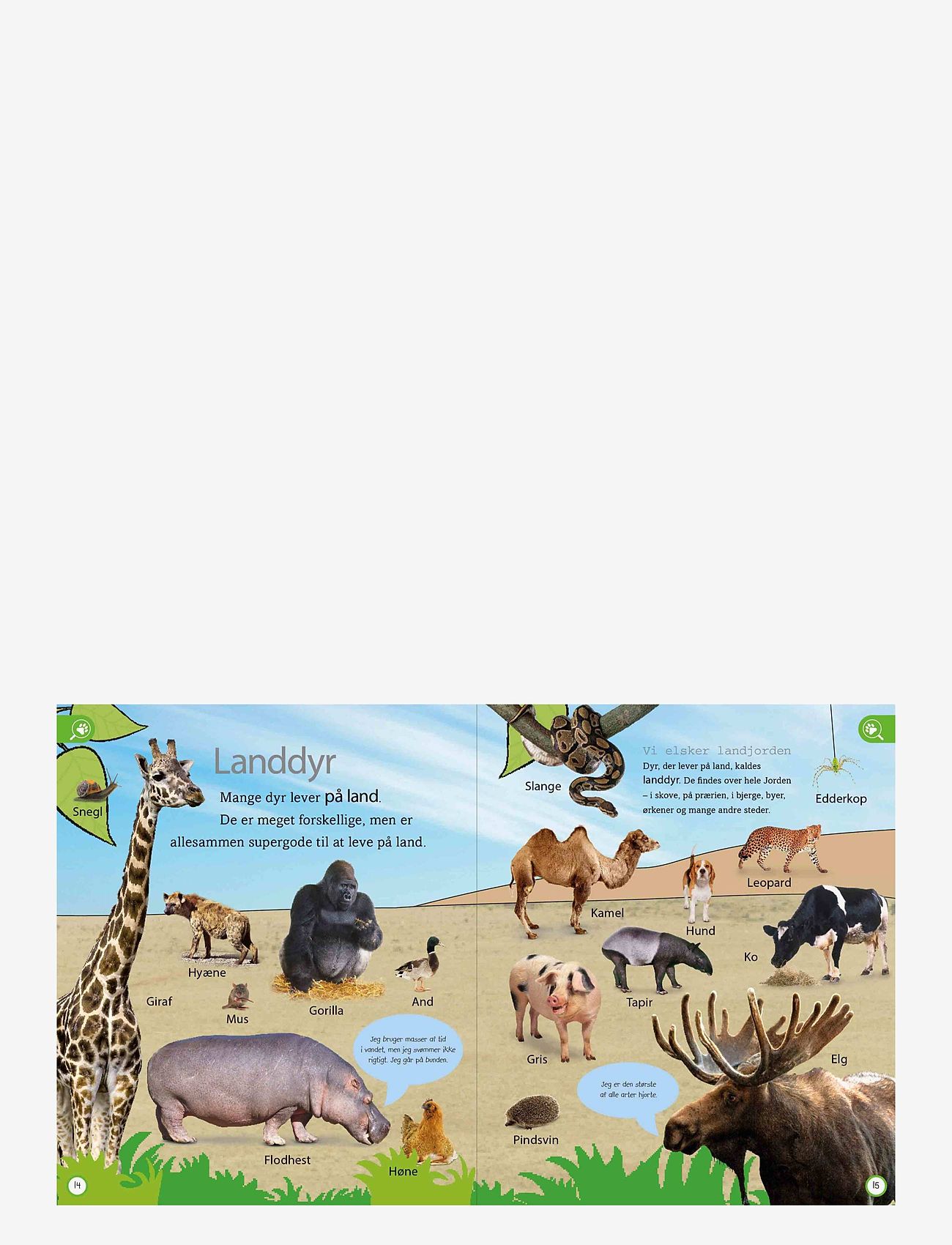 GLOBE - Dyreleksikon for de yngste - educational books - children's book - 3