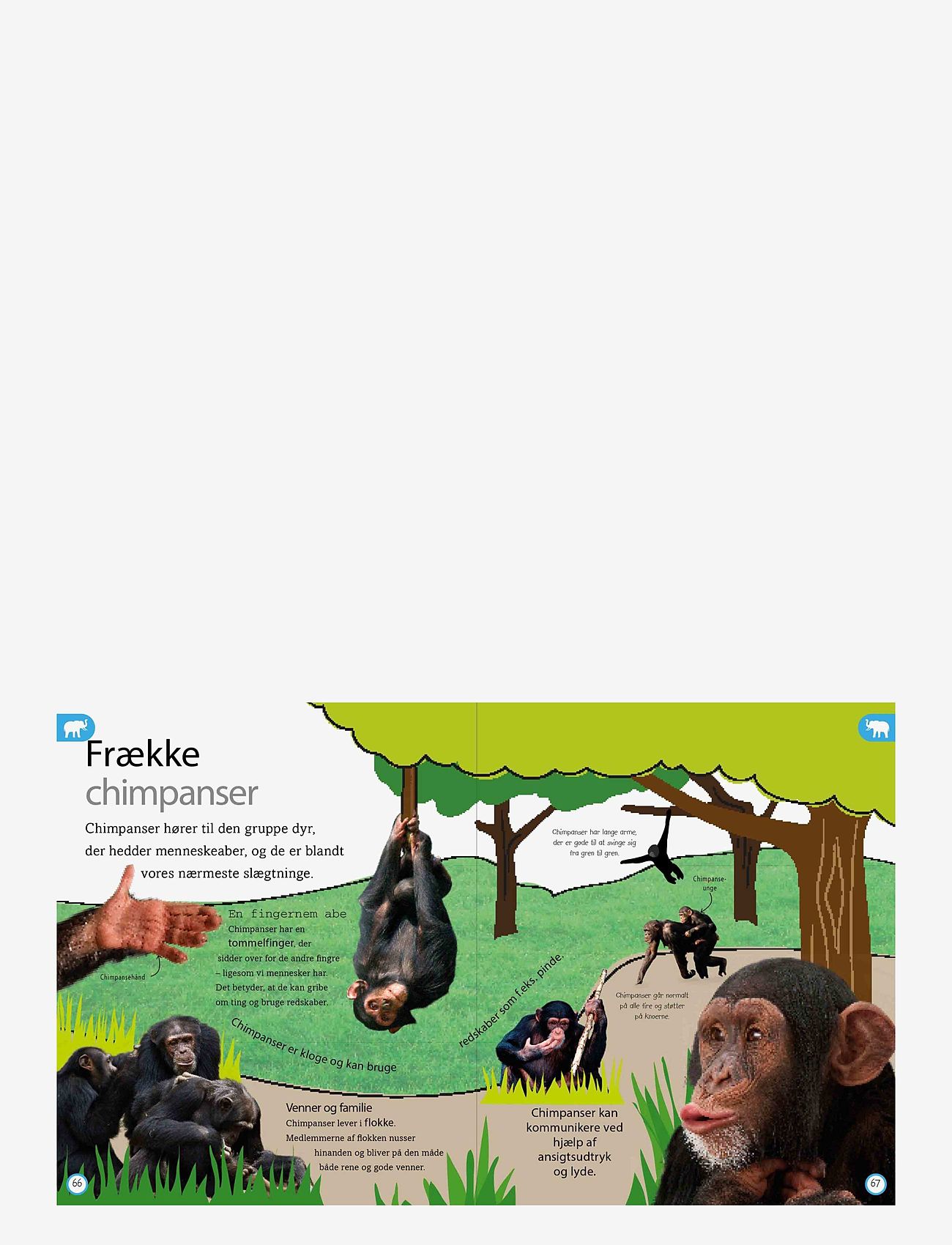 GLOBE - Dyreleksikon for de yngste - educational books - children's book - 4