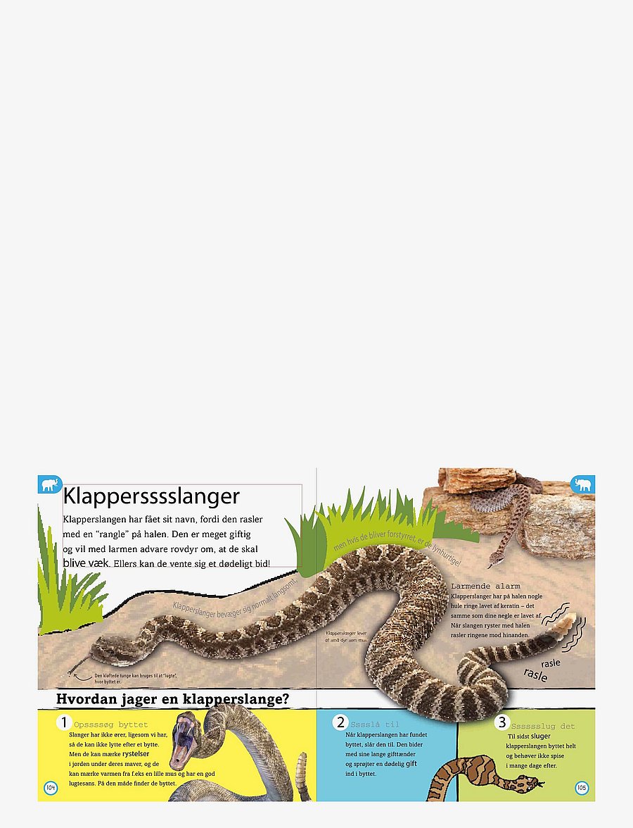 GLOBE - Dyreleksikon for de yngste - fræðslubækur - children's book - 5