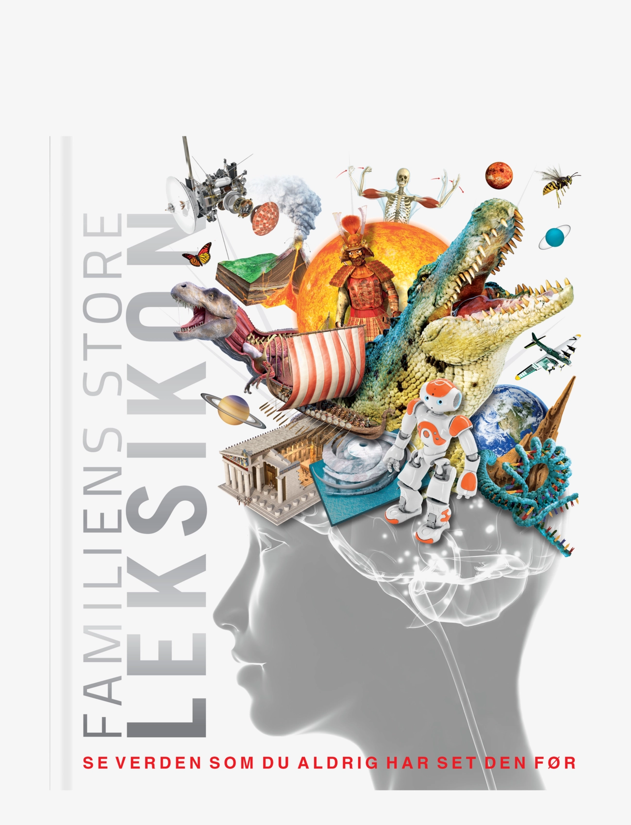 GLOBE Familiens store leksikon - Legetøj - CHILDREN'S BOOK / multi