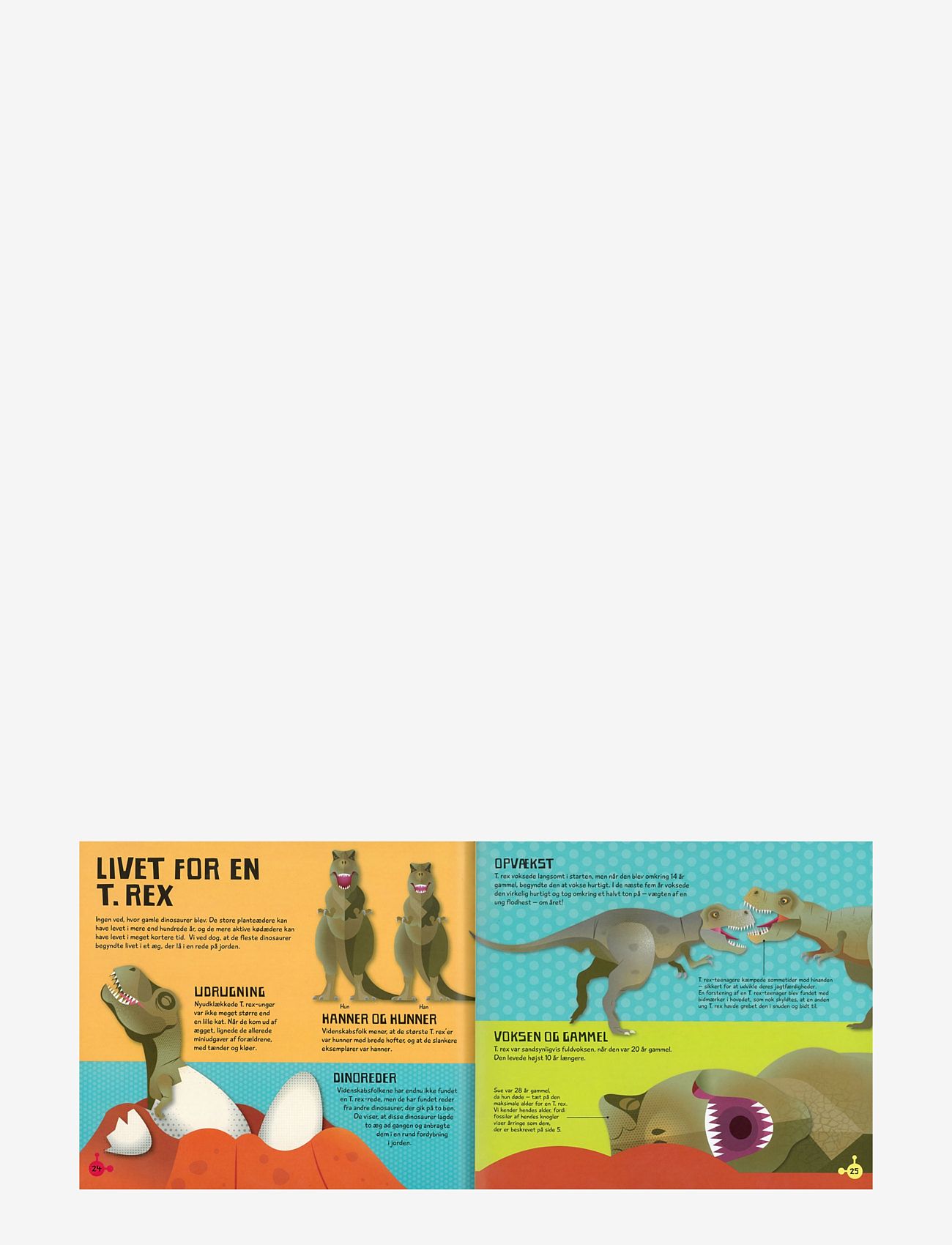 GLOBE - T.Rex Læs leg lær - pædagogiske bøger - children's book - 4