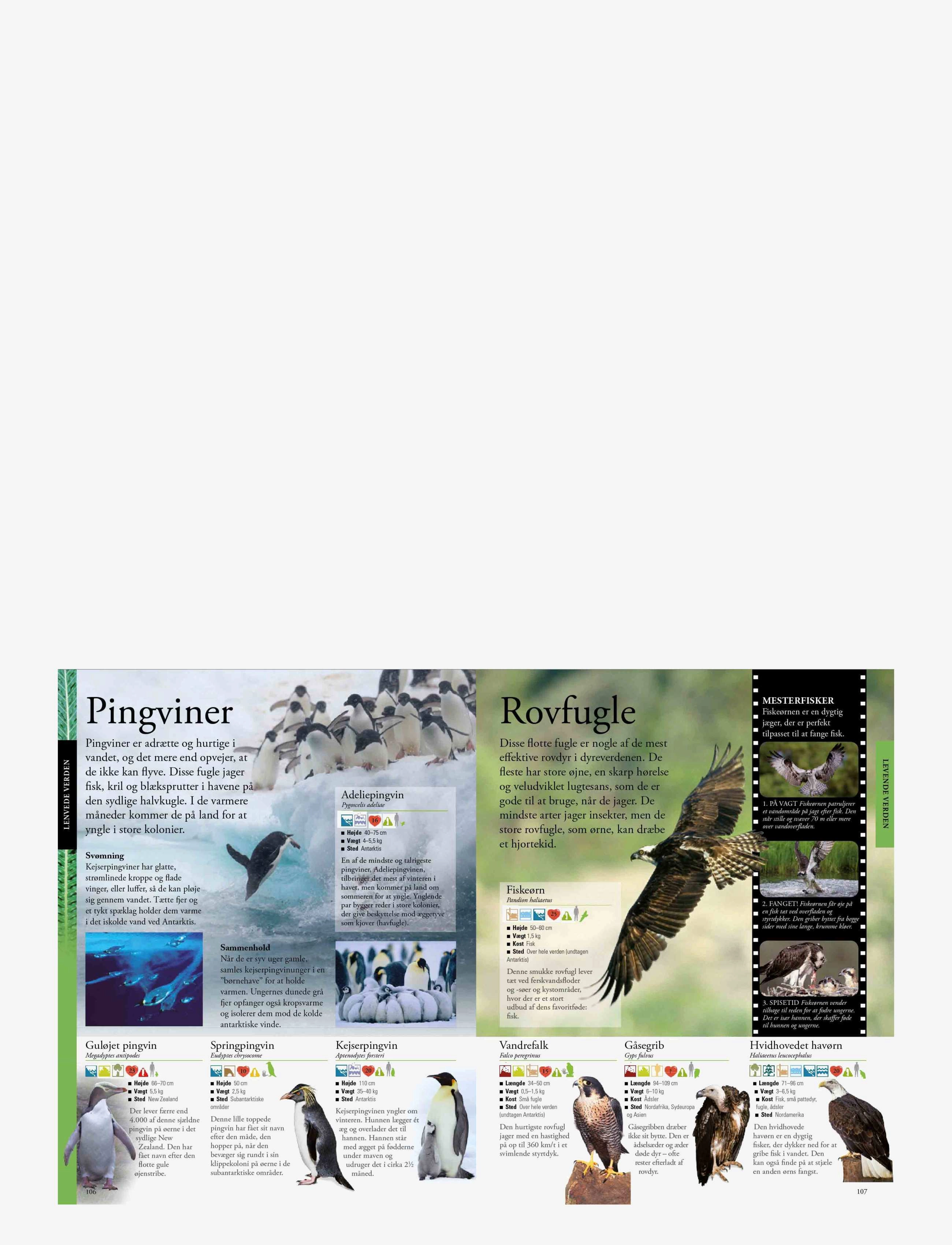 GLOBE - Det store børneleksikon - pædagogiske bøger - children's book - 2