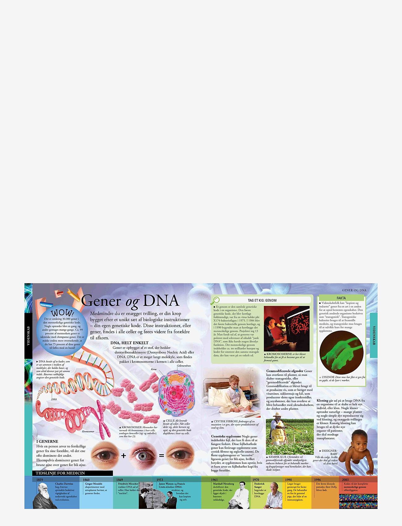 GLOBE - Det store børneleksikon - pædagogiske bøger - children's book - 5