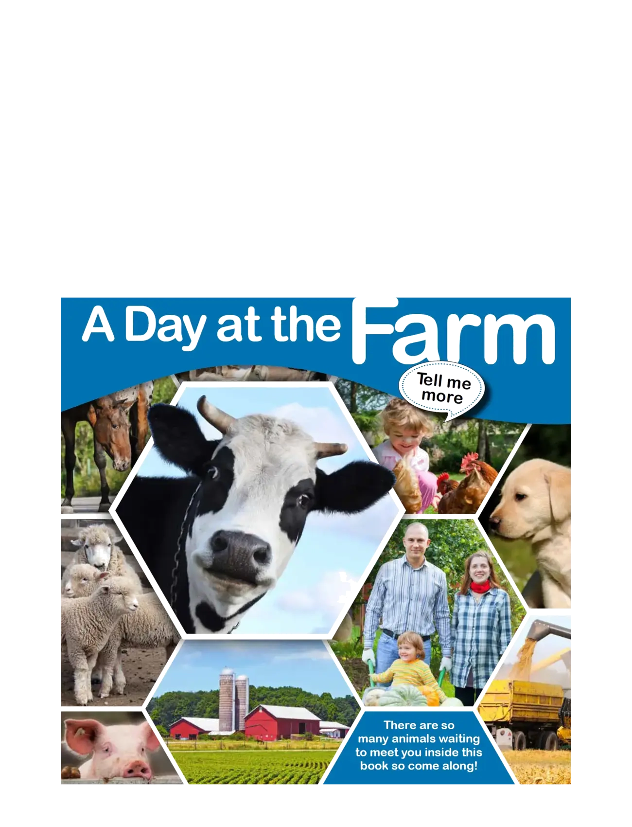 GLOBE Tell me more - A Day  at the Farm - 4 for 3 - CHILDREN'S BOOK / multi