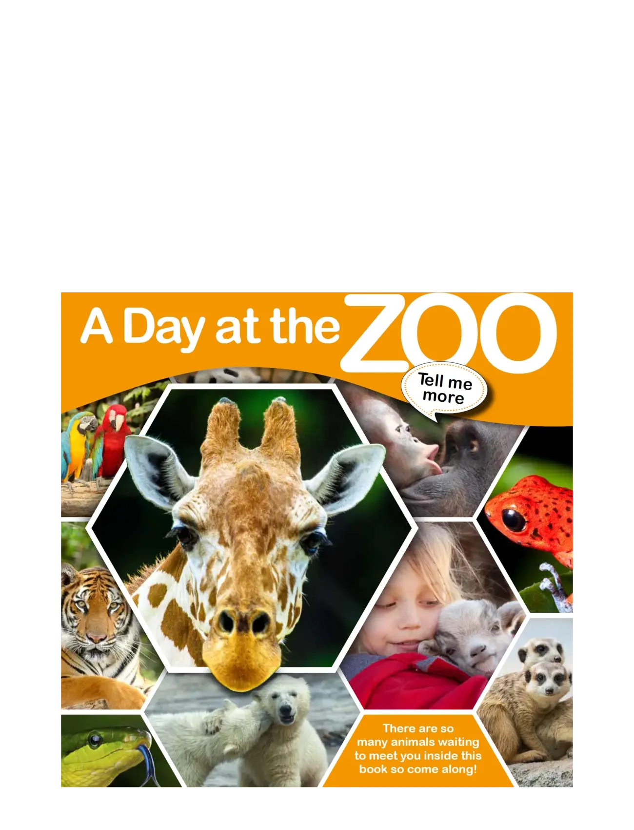 GLOBE Tell Me More - A Day At The Zoo, ENGLISH, Multi/patterned, Babybøger > Pædagogiske Bøger, Børn