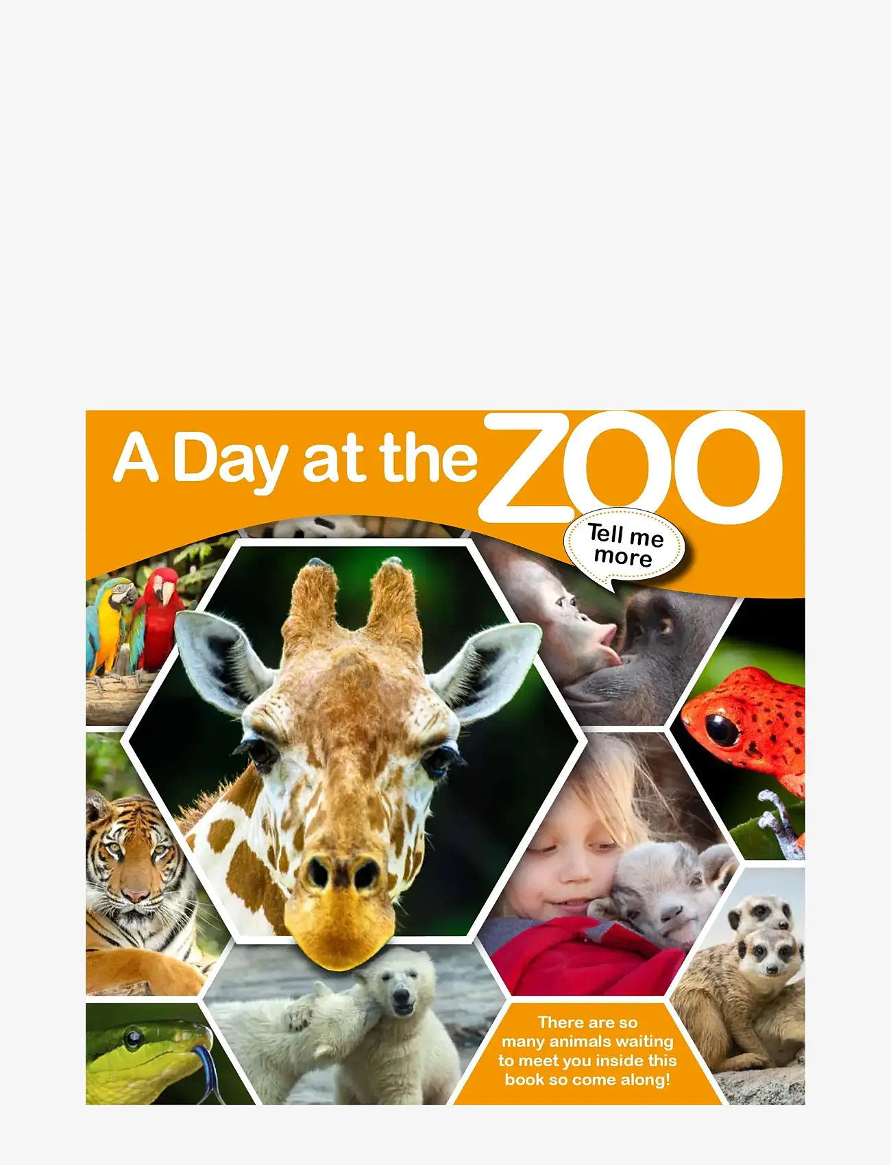 GLOBE - Tell me more - A Day at the Zoo - pædagogiske bøger - children's book - 0