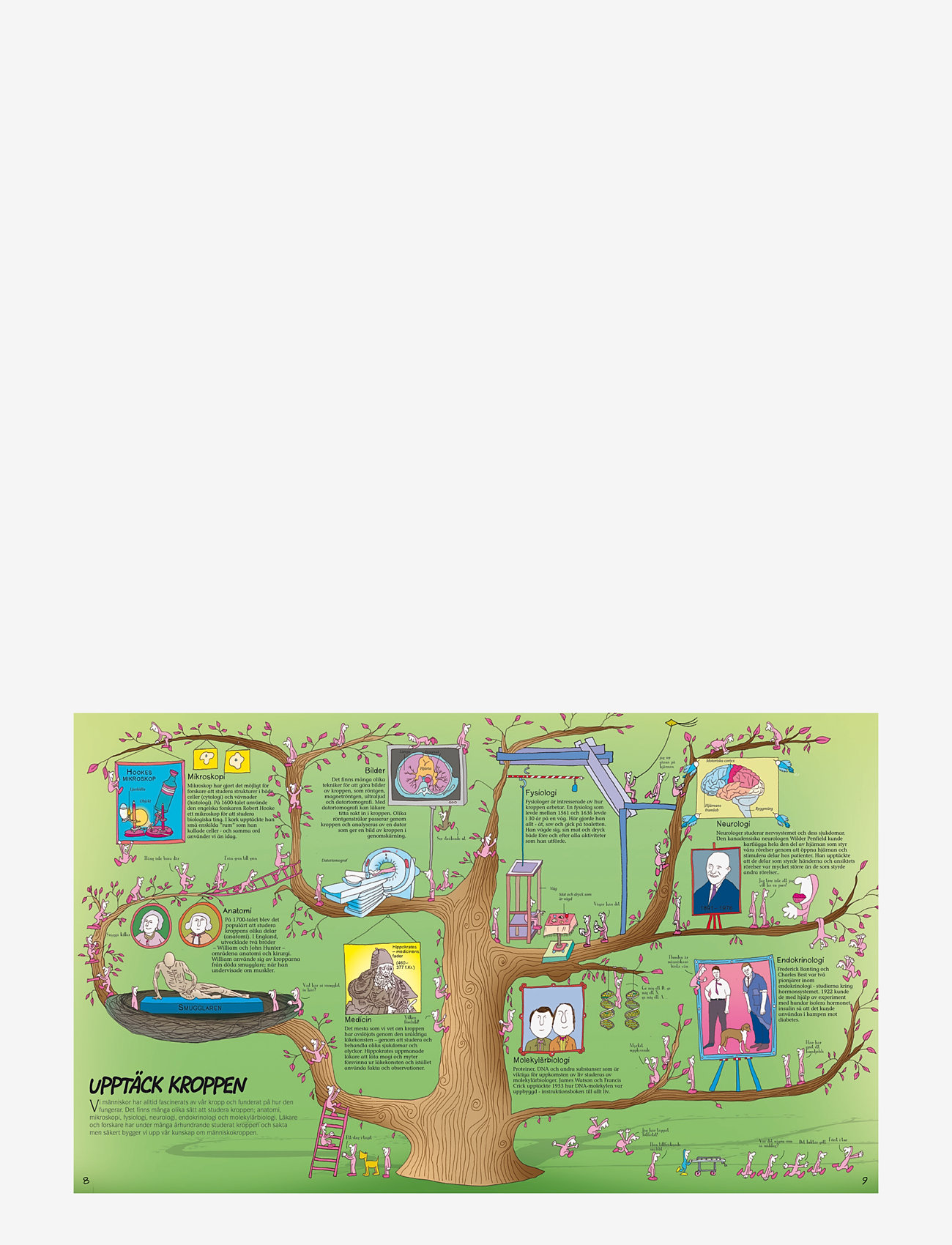 GLOBE - Så fungerar människans fantastiska kropp - educational books - children's book - 3