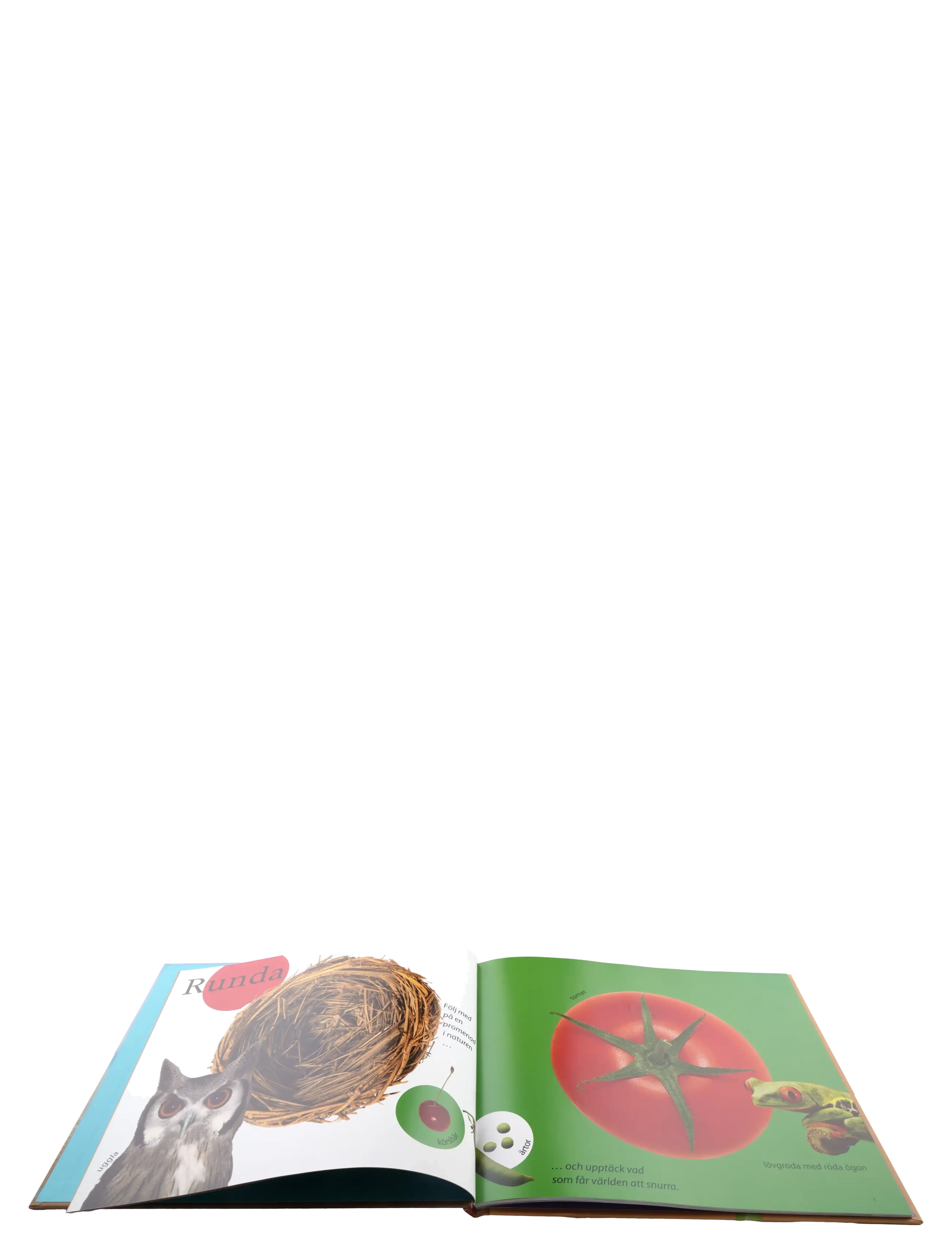 GLOBE - Jättegärna: Former & mönster - pedagogiska barnböcker - boardbook - 2