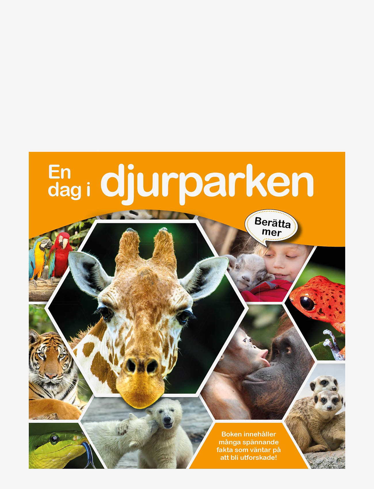GLOBE - En dag i djurparken - opetuskirjat - children's book - 0