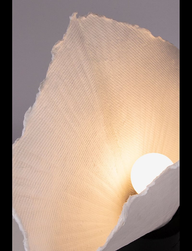 Globen Lighting - Table Lamp Tropez - laualambid - white/black - 4