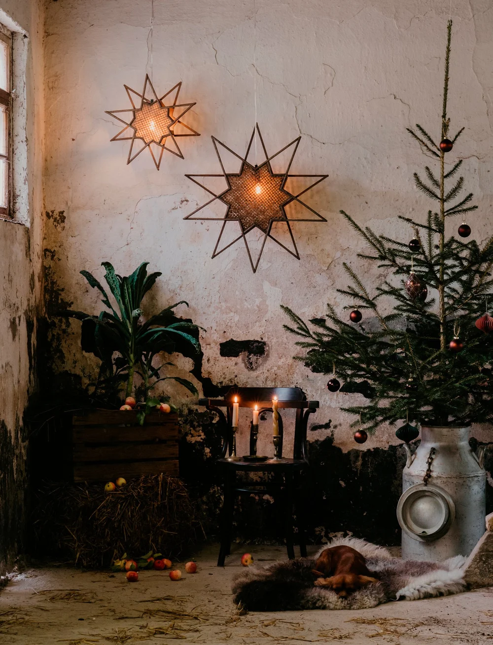 Globen Lighting - Christmas Star Karin - julestjerner - brown - 2