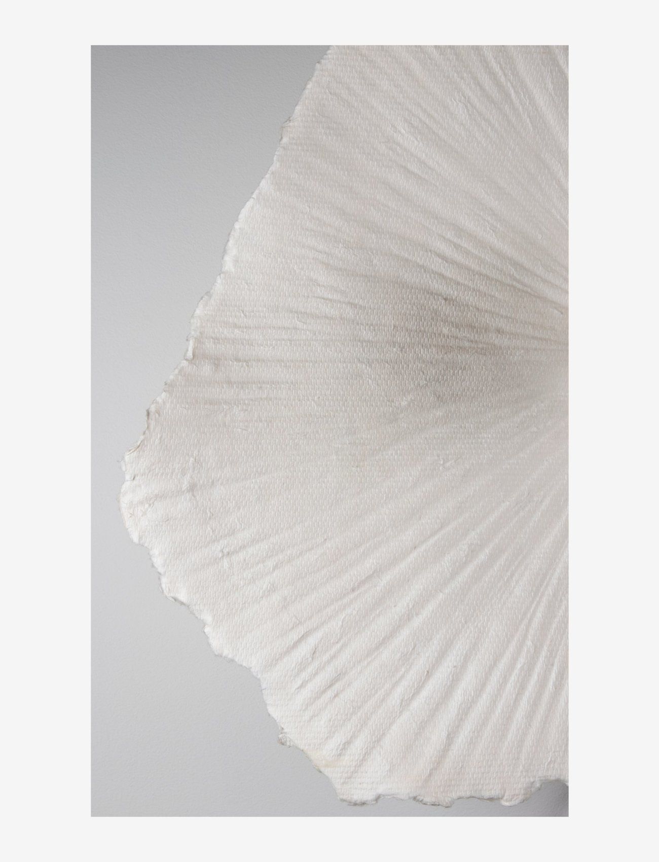 Globen Lighting - Ceiling Lamp/Wall Lamp Tropez 60 - wandleuchten - white - 4