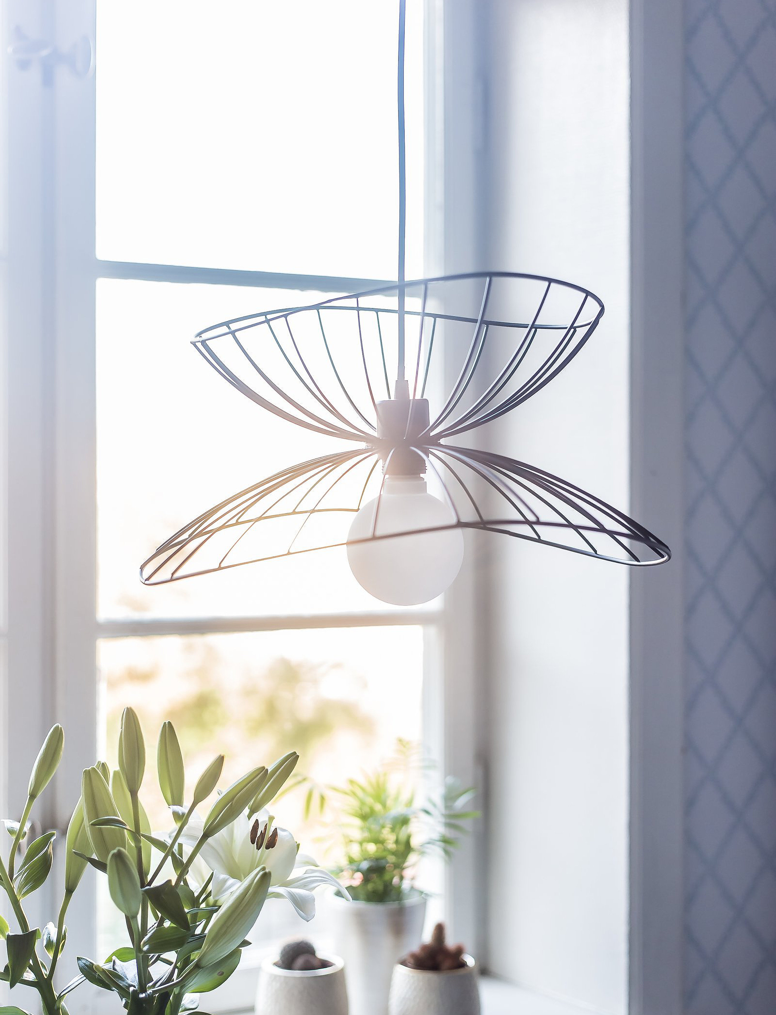 Globen Lighting - Pendant Ray - hanglampen - black - 3