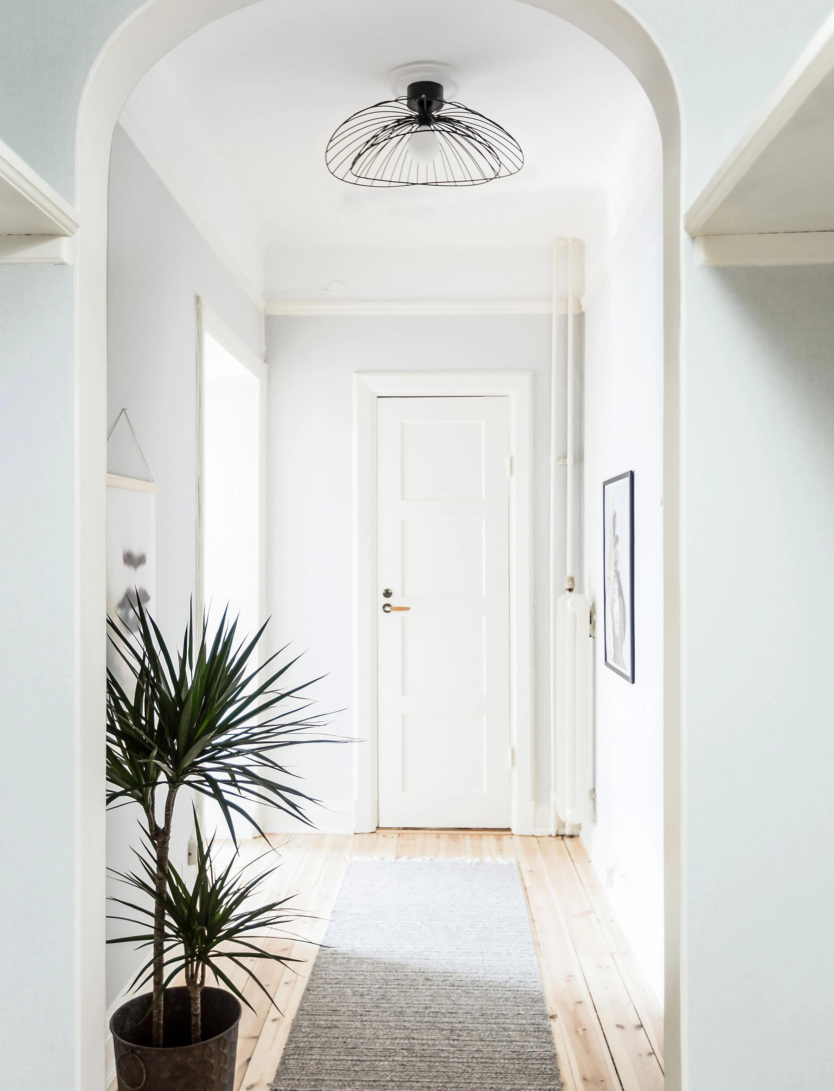 Globen Lighting Loft-/Væglampe Ray, One Size, Ceiling Lamps, Schwarz - Pendant Homeware