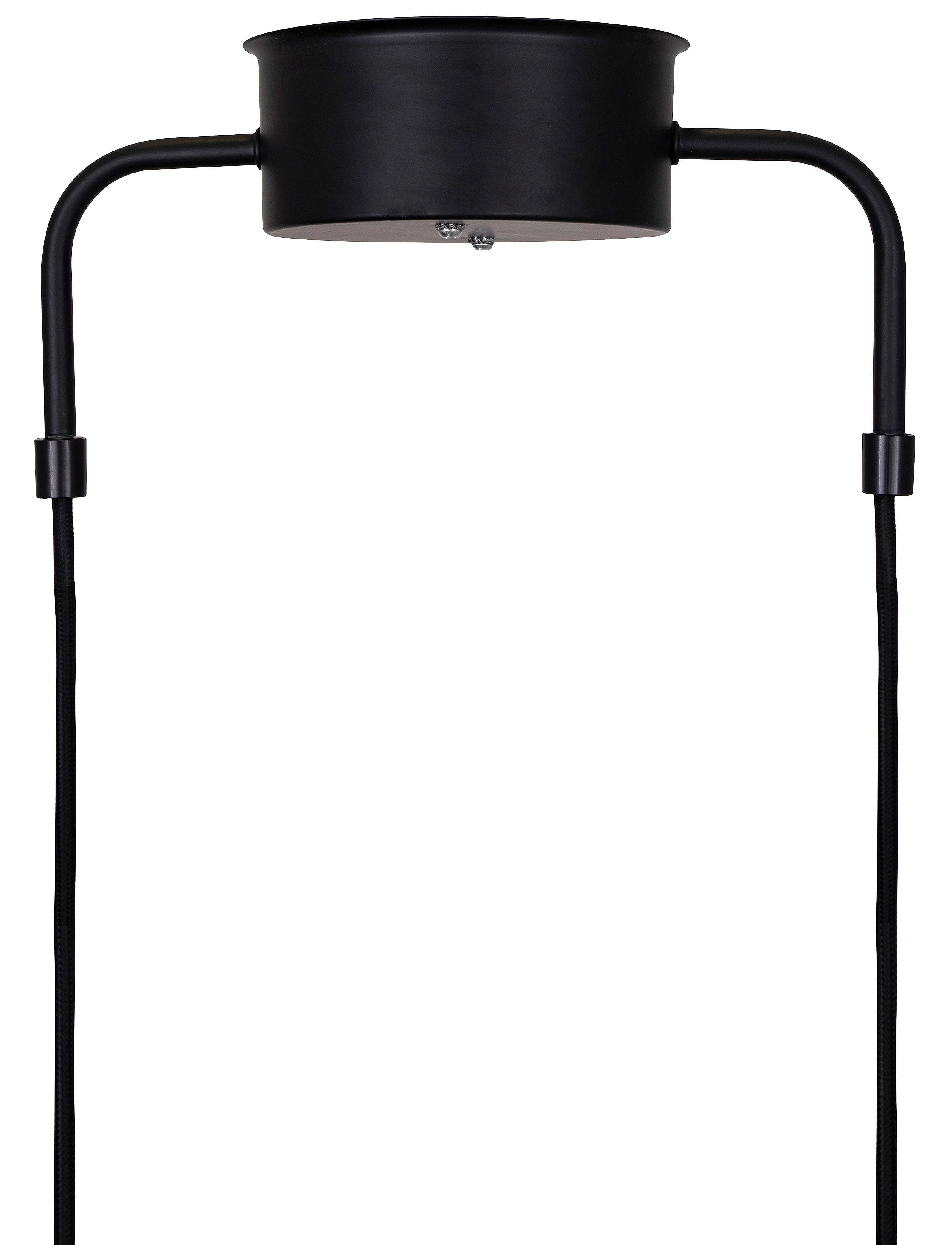 Globen Lighting - Pendellampe Curve 5 - pendler - black - 3