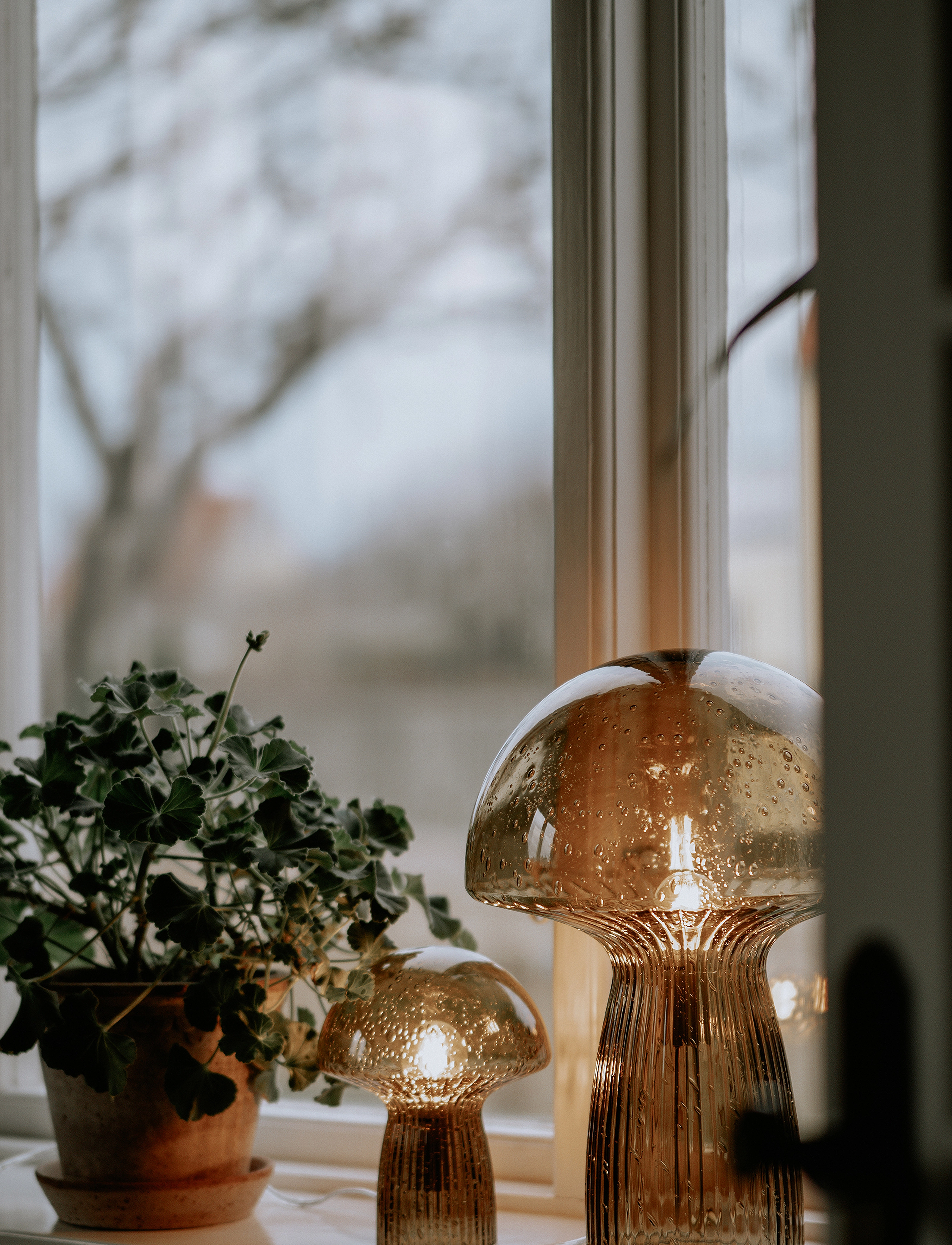 Globen Lighting - Bordlampe Fungo 30 Special Edition - bordlamper - brown - 5