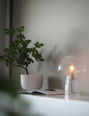 Globen Lighting - Table lamp Fungo 22 Special Edition - bordlamper - clear - 5