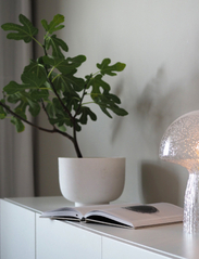 Globen Lighting - Table lamp Fungo 22 Special Edition - bordlamper - clear - 8