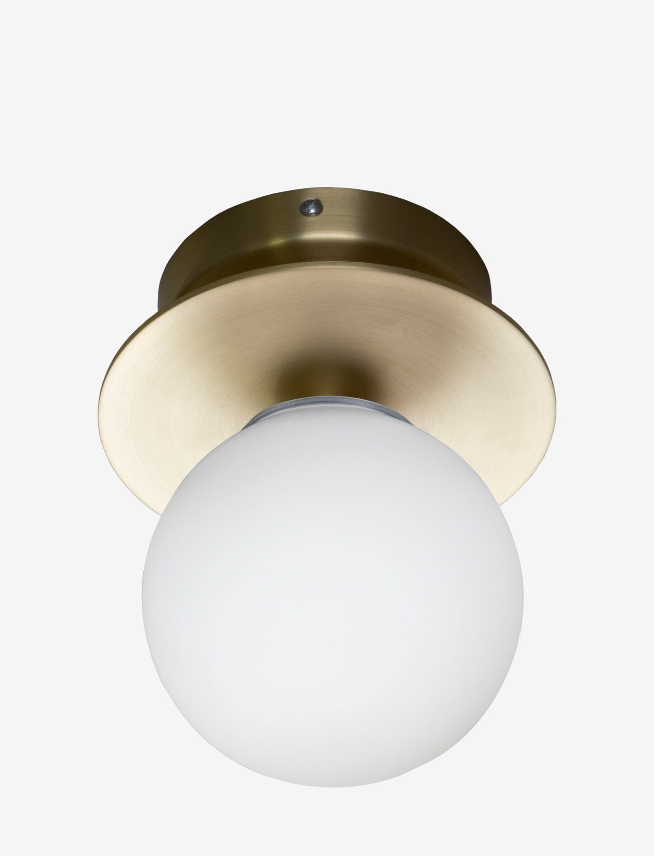 Globen Lighting - Wall Lamp/Ceiling Lamp Art Deco IP44 - vegglamper - brushed brass/white - 1