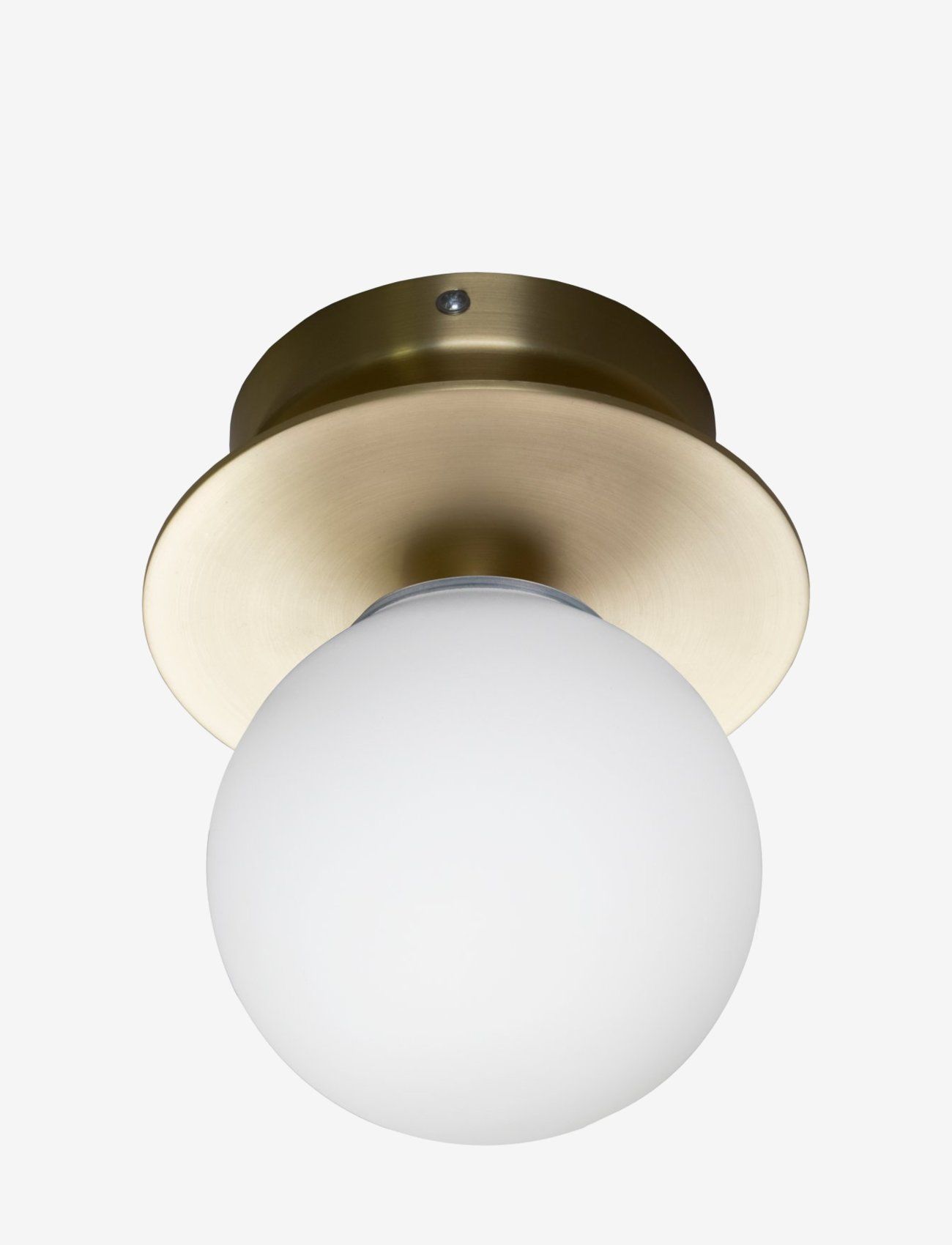 Globen Lighting - Vägglampa/Plafond Art Deco IP44 - vägglampor - brushed brass/white - 2