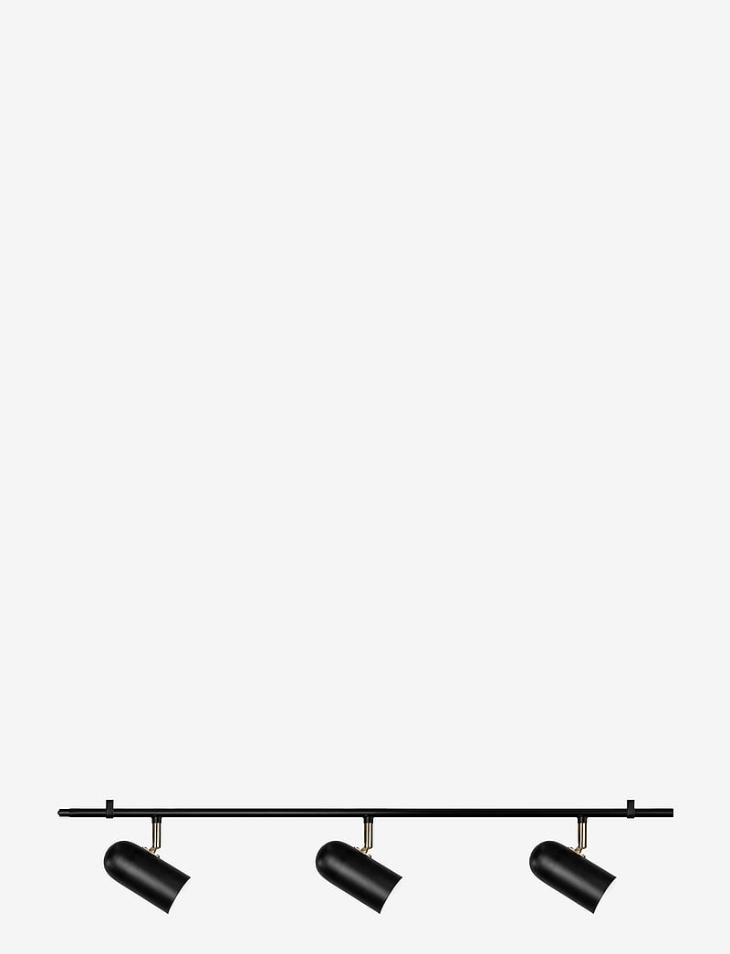 Globen Lighting - Ceiling Lamp Swan - kohtvalgustid - black - 1