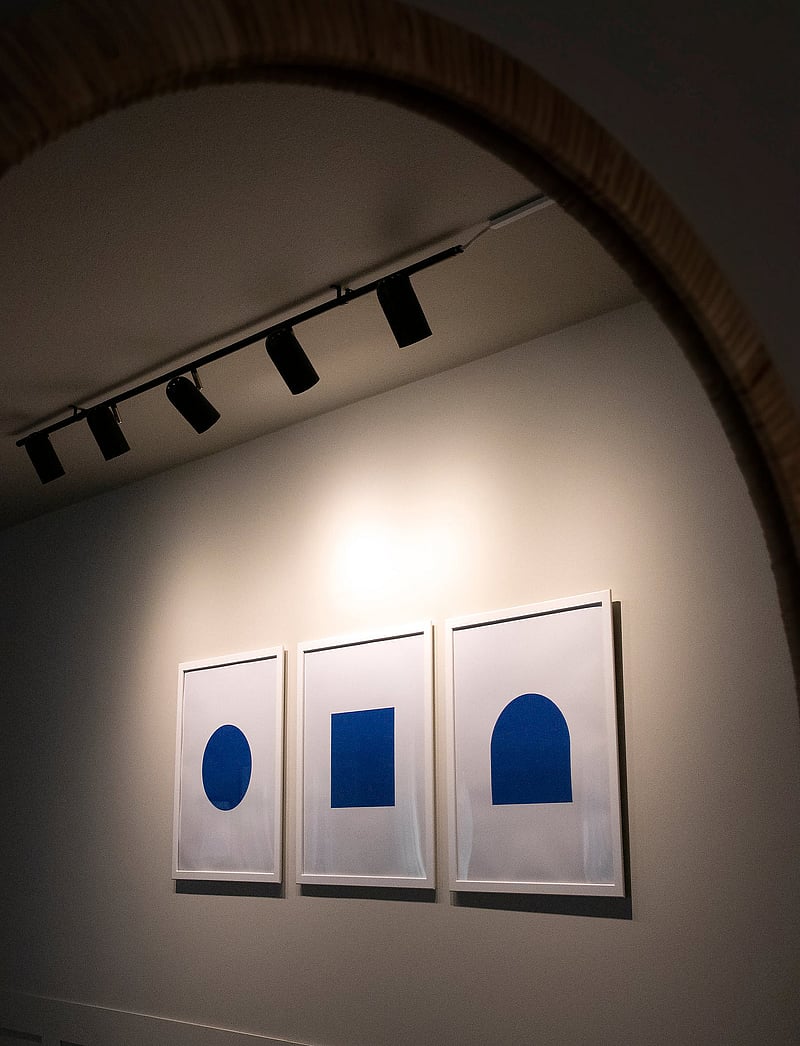 Globen Lighting - Ceiling Lamp Swan - deckenspots - black - 0