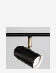 Globen Lighting - Ceiling Lamp Swan 5 - spotlights - black - 5