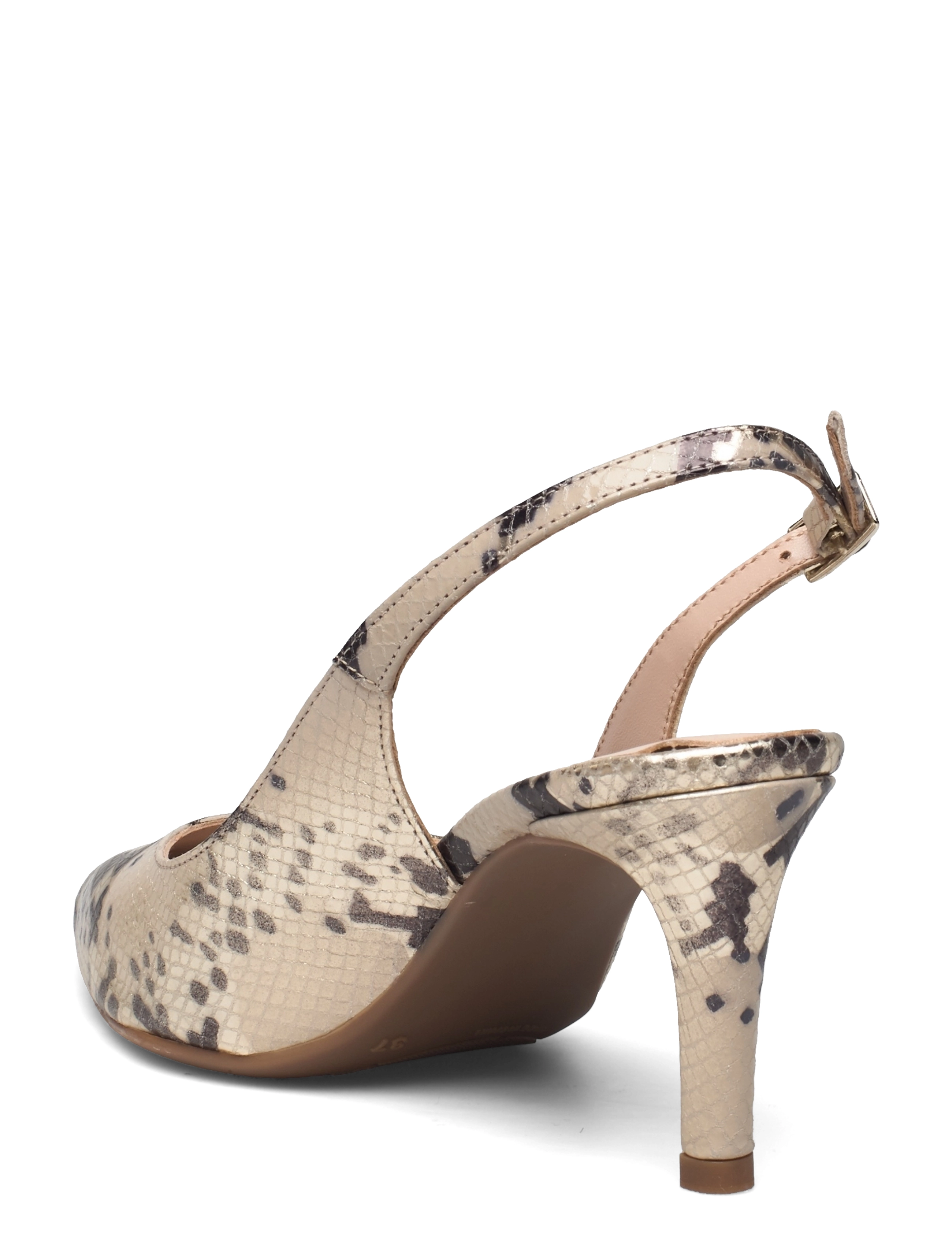 GOLD - Pegasus Grey 242 - pegasus grey - 2