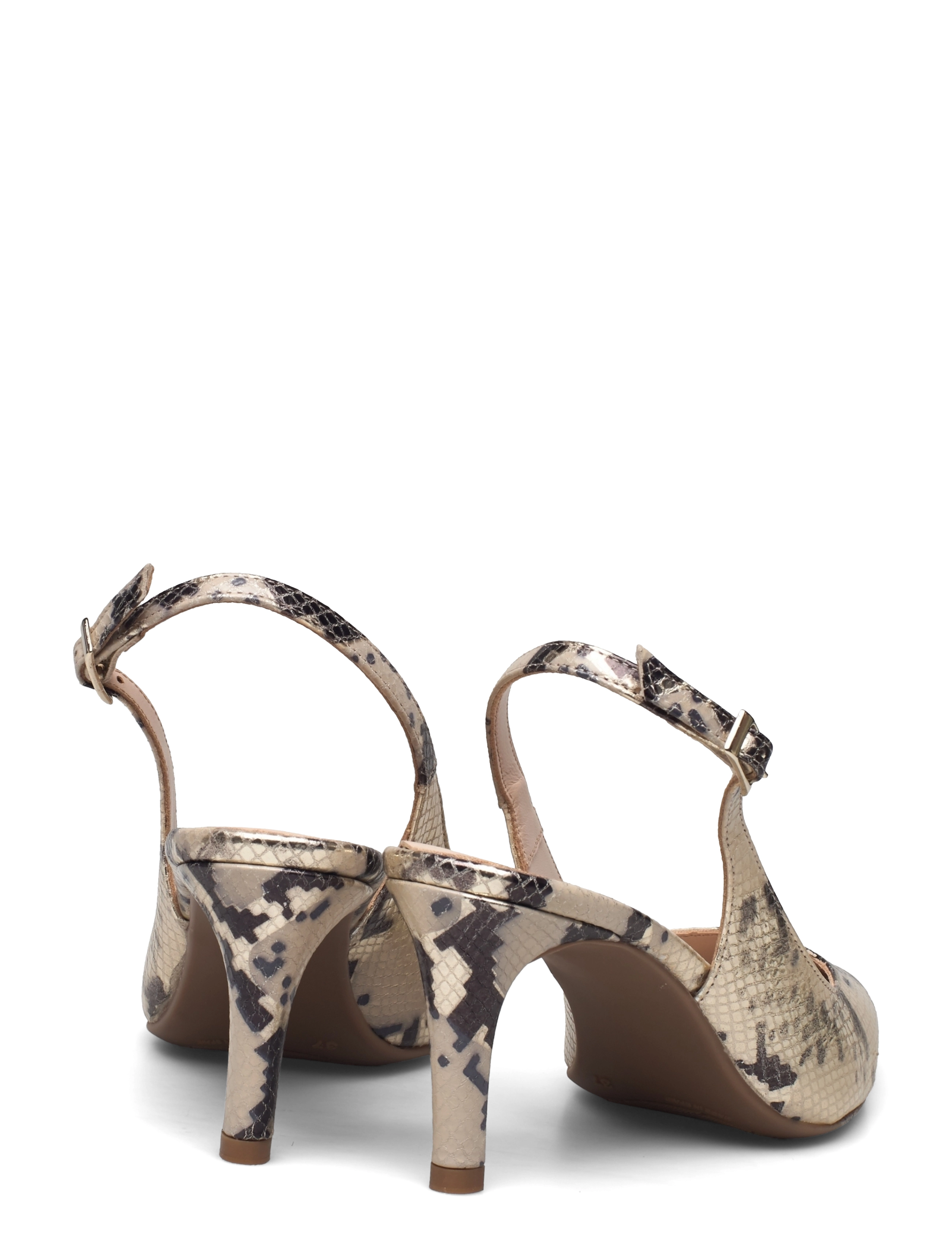 GOLD - Pegasus Grey 242 - pegasus grey - 4