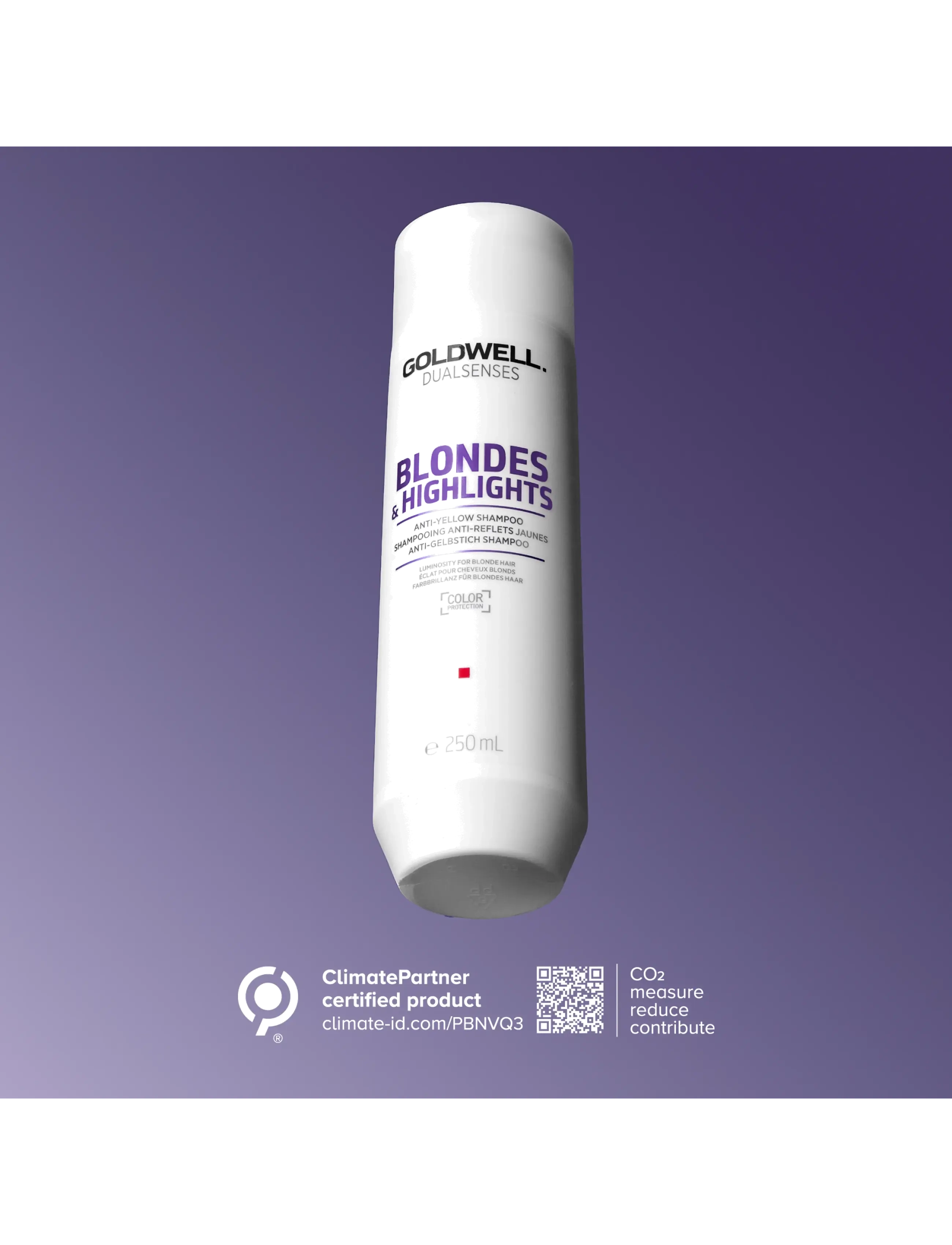 Goldwell - Goldwell Dualsenses Blonde & Highlights Anti-Yellow Shampoo 250 ml - silvershampoo - coloured - 1