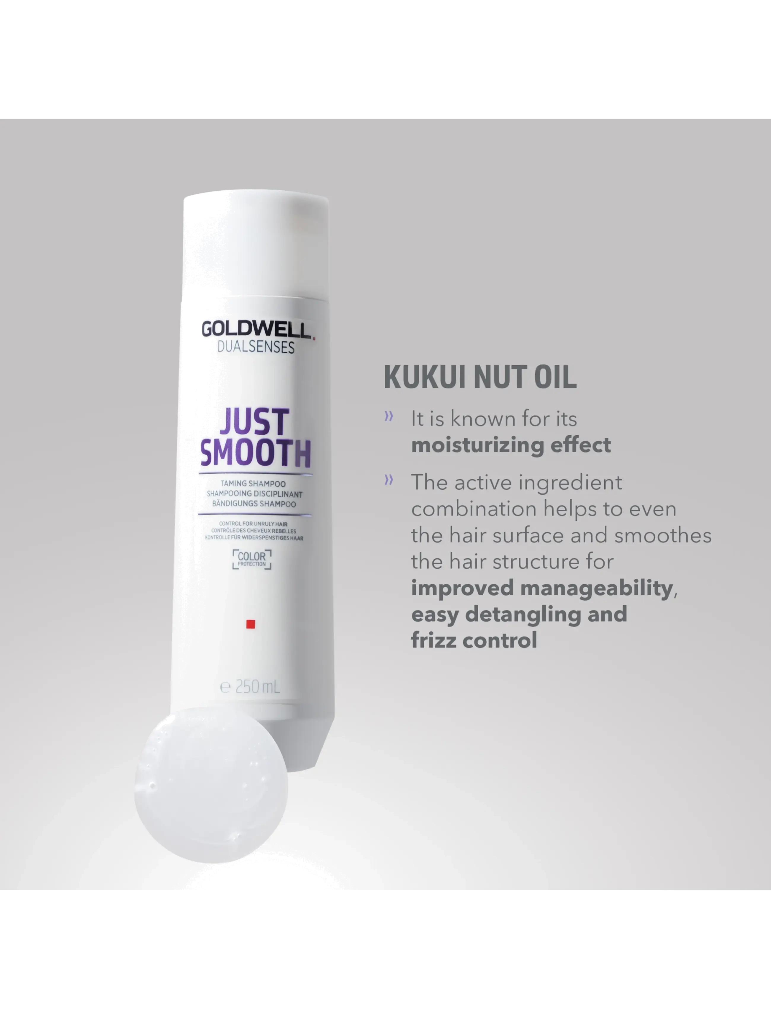 Goldwell - Goldwell Dualsenses Just Smooth Taming Shampoo 250 ml - clear - 2