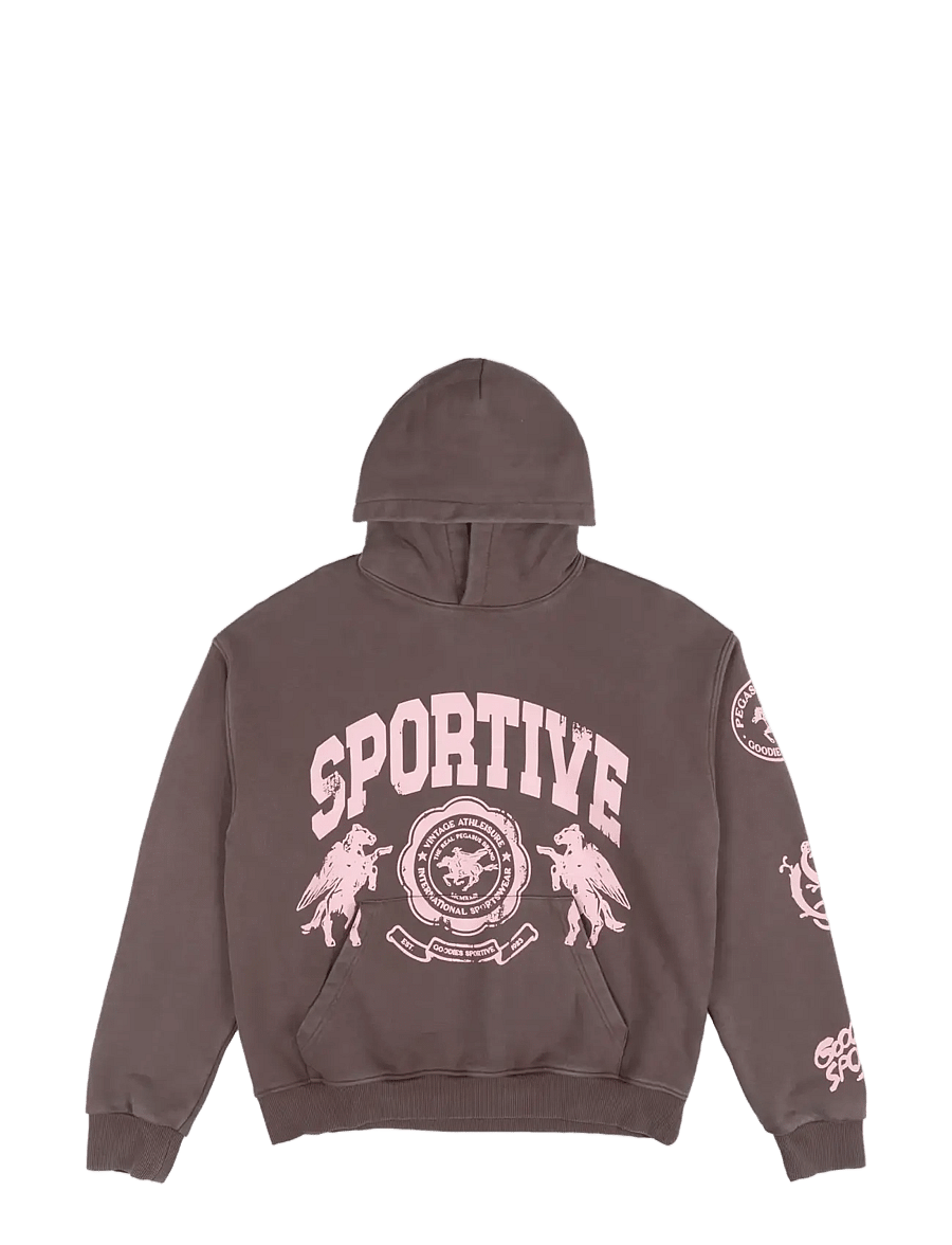 Goodies Sportive - BROWNIE HOODIE - hættetrøjer - fadeout brown - 1