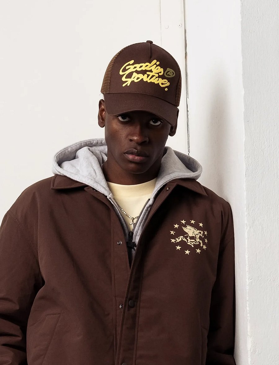 Goodies Sportive - MEMORY BROWN JACKET - höstjackor - brown - 0