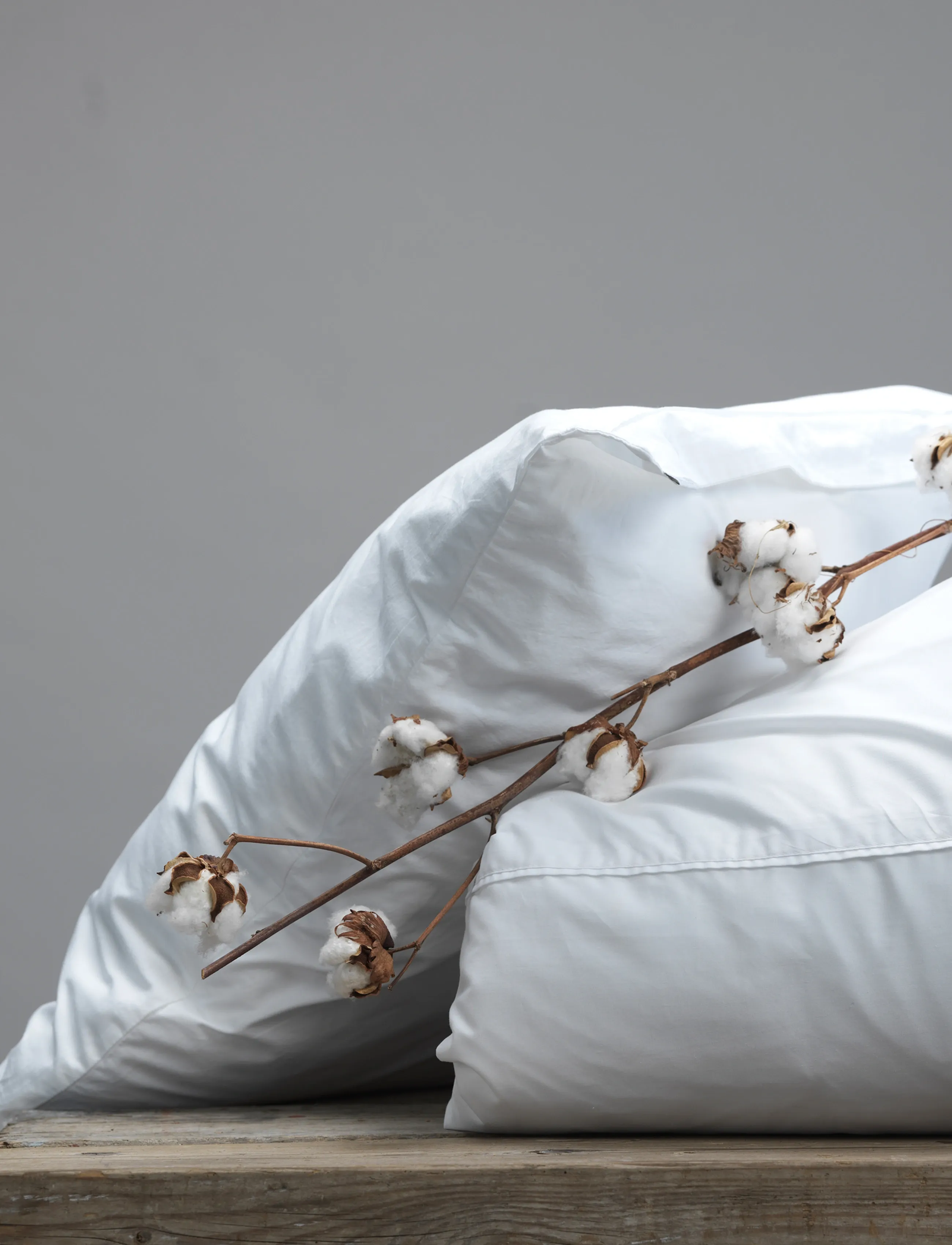 Gripsholm - ÖRNGOTT PERCALE VIT 50X90 - lägsta priserna - white - 1