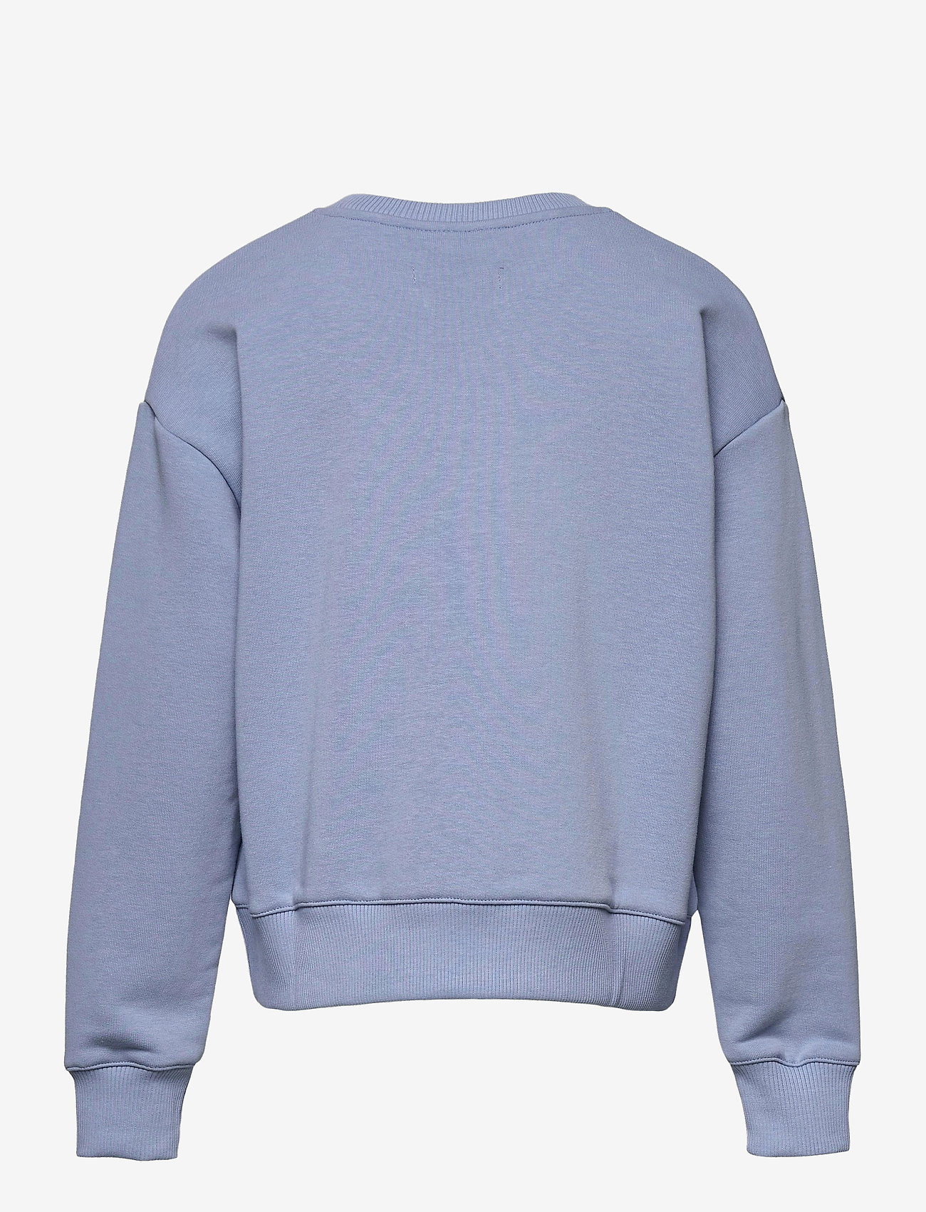 Grunt - OUR Lone Crew Sweat - baby blue - 1