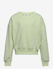 Grunt - OUR Lone Crew Sweat - sweatshirts & hættetrøjer - light green - 0