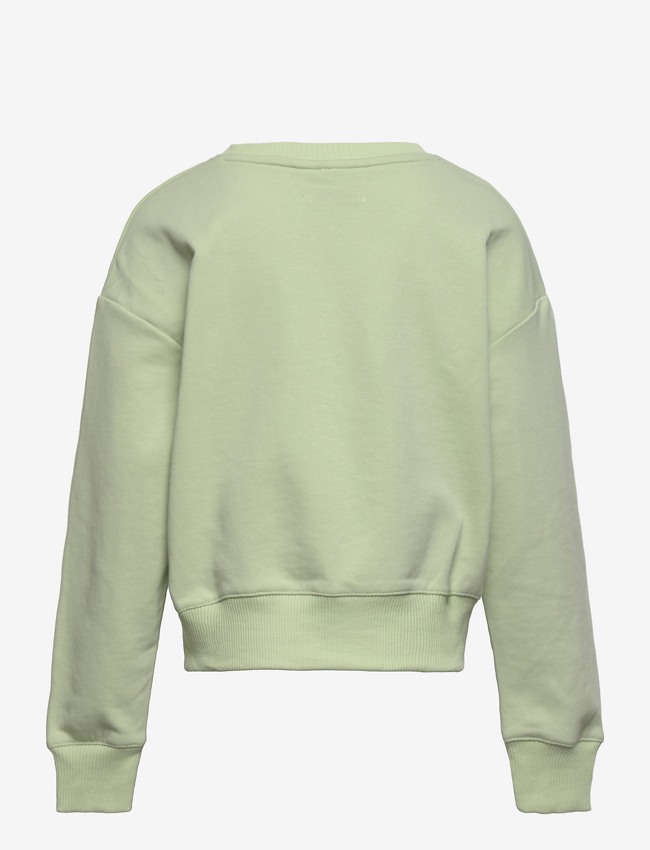 Grunt - OUR Lone Crew Sweat - light green - 1
