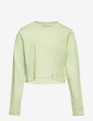 Grunt - Remi LS Tee - long-sleeved t-shirts - light green - 0