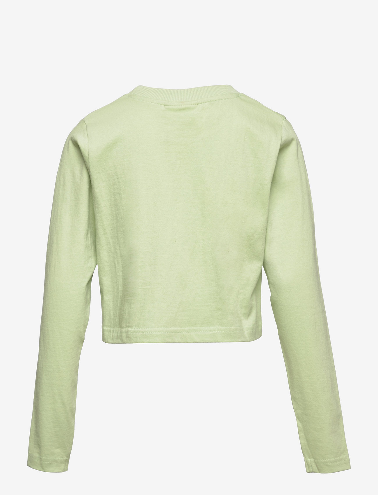 Grunt - Remi LS Tee - long-sleeved t-shirts - light green - 1