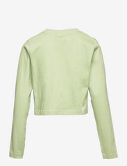 Grunt - Remi LS Tee - long-sleeved t-shirts - light green - 1