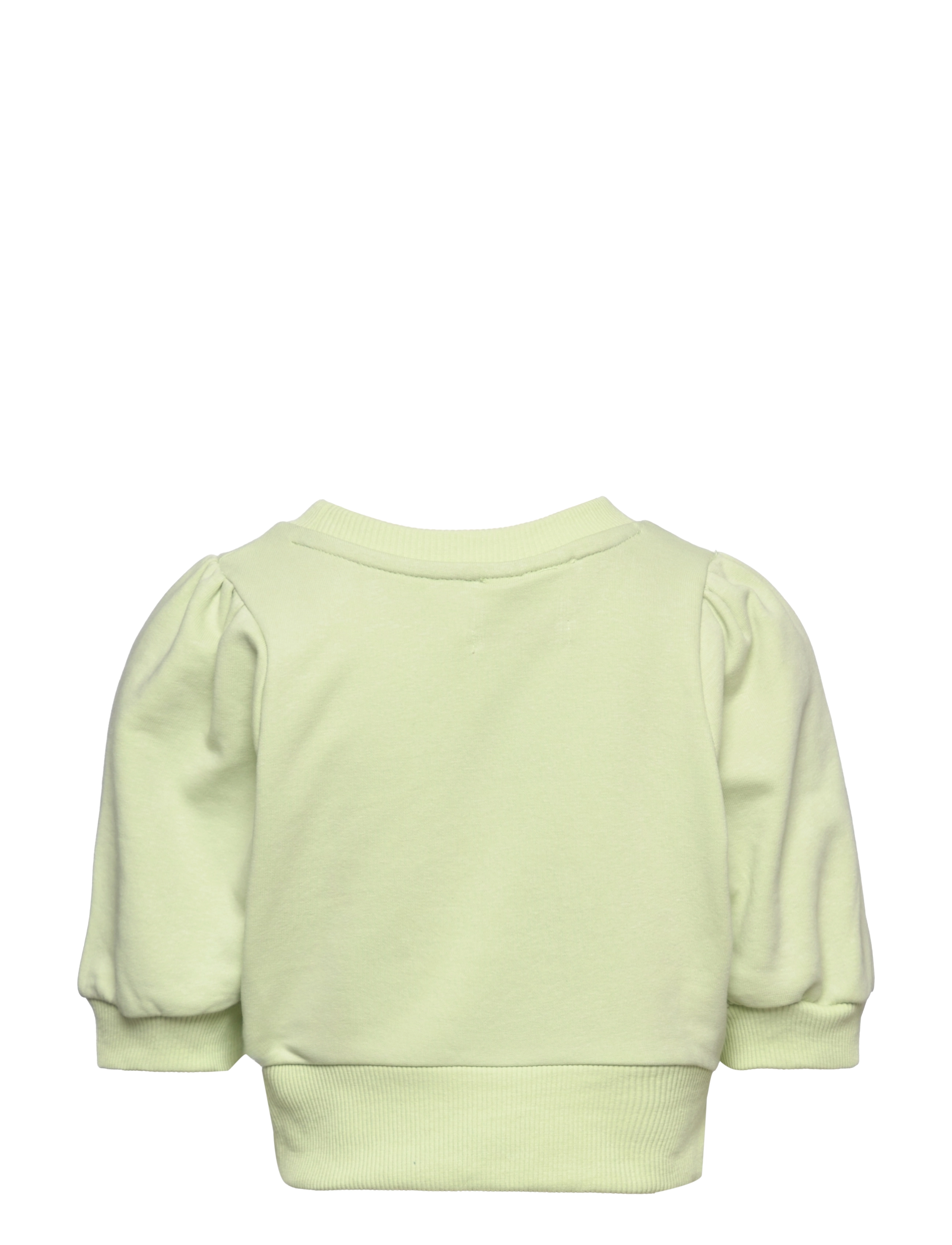 Grunt - Fiona Sweat - dressipluusid - light green - 1